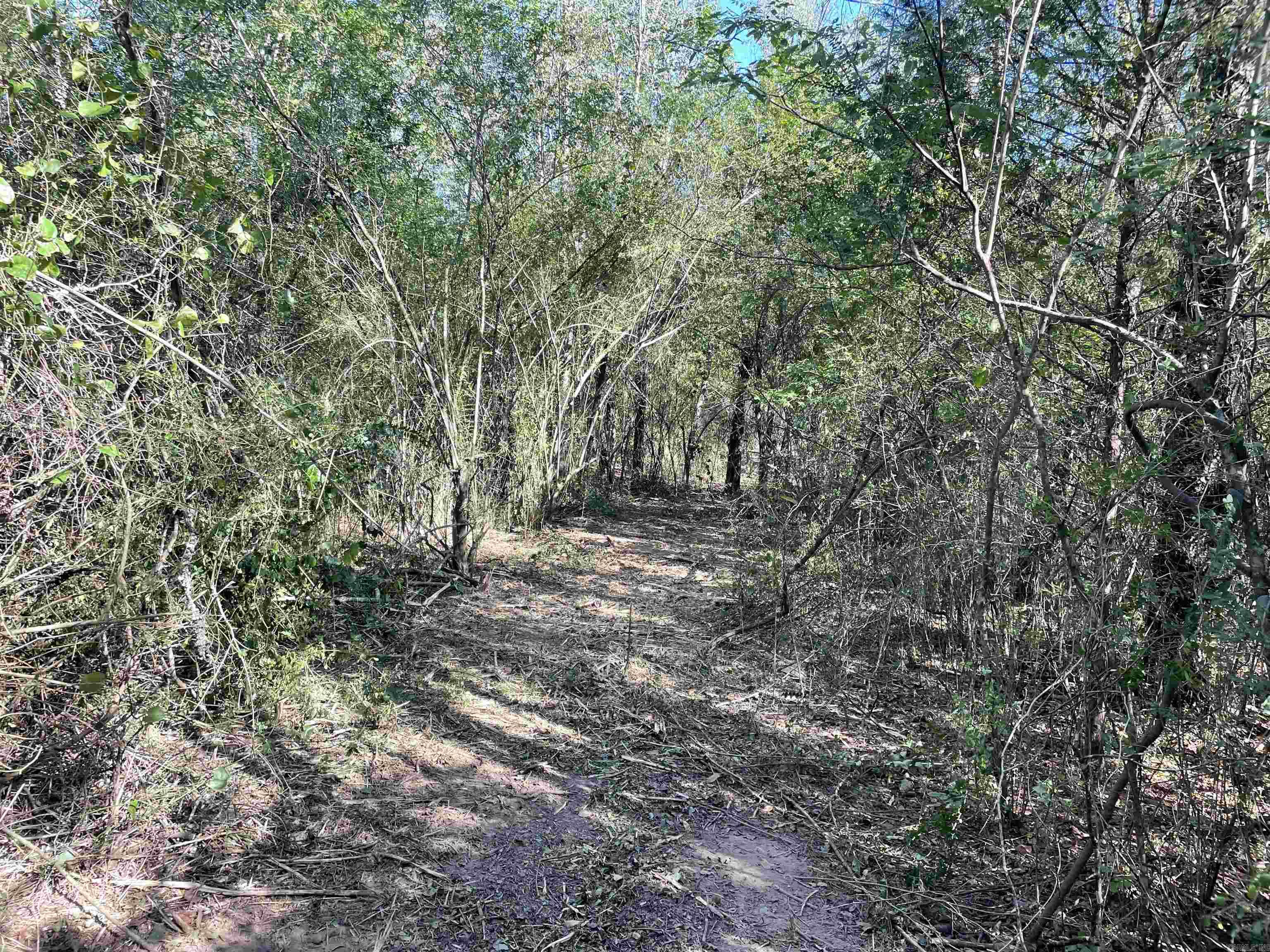 5 JABO LAKE ROAD  Little Rock, AR