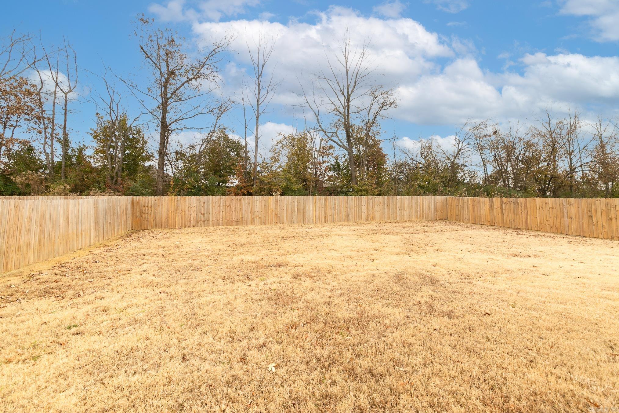 55 Birchwood Drive Ward, AR 72176