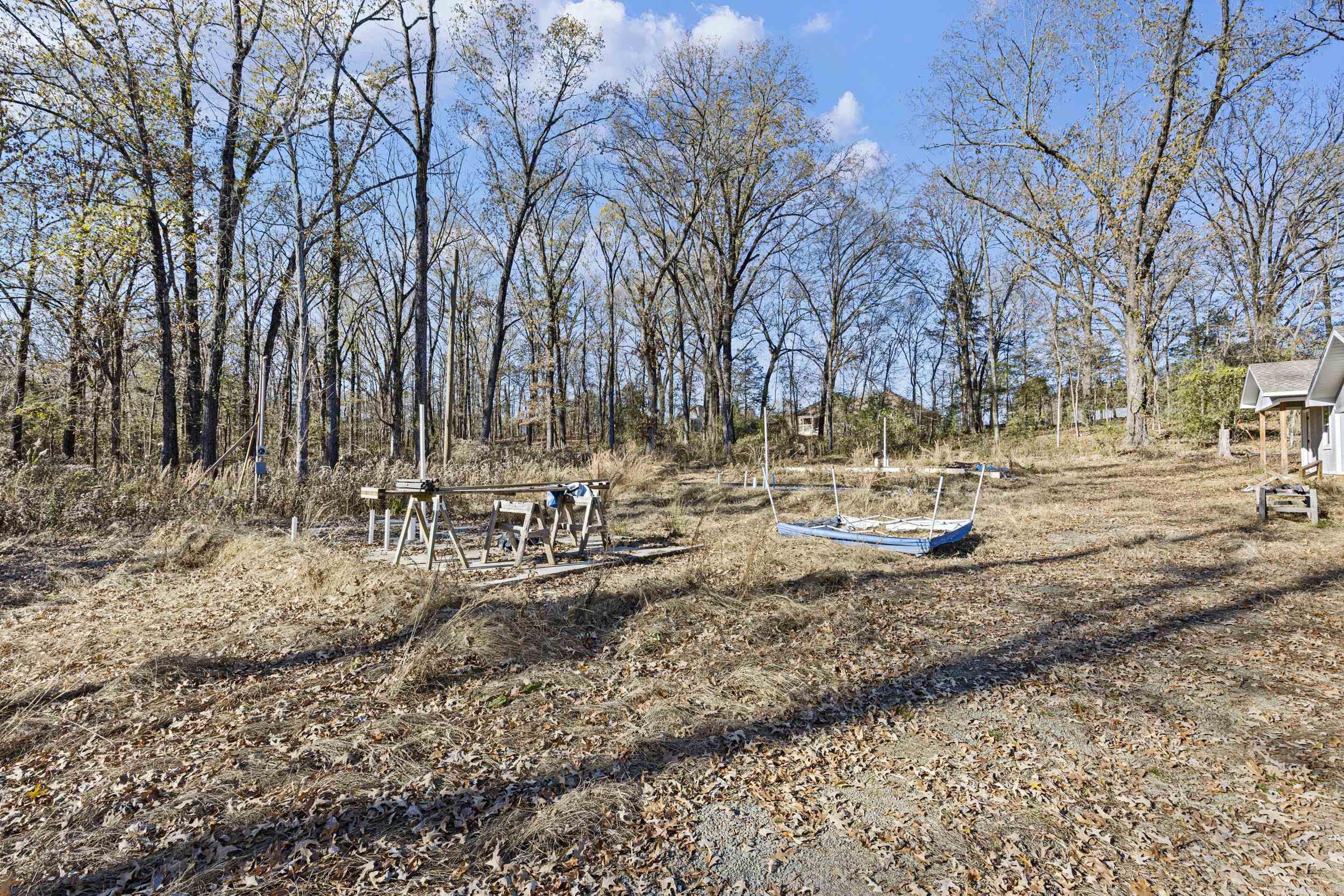 1 Frog Hop  Morrilton, AR