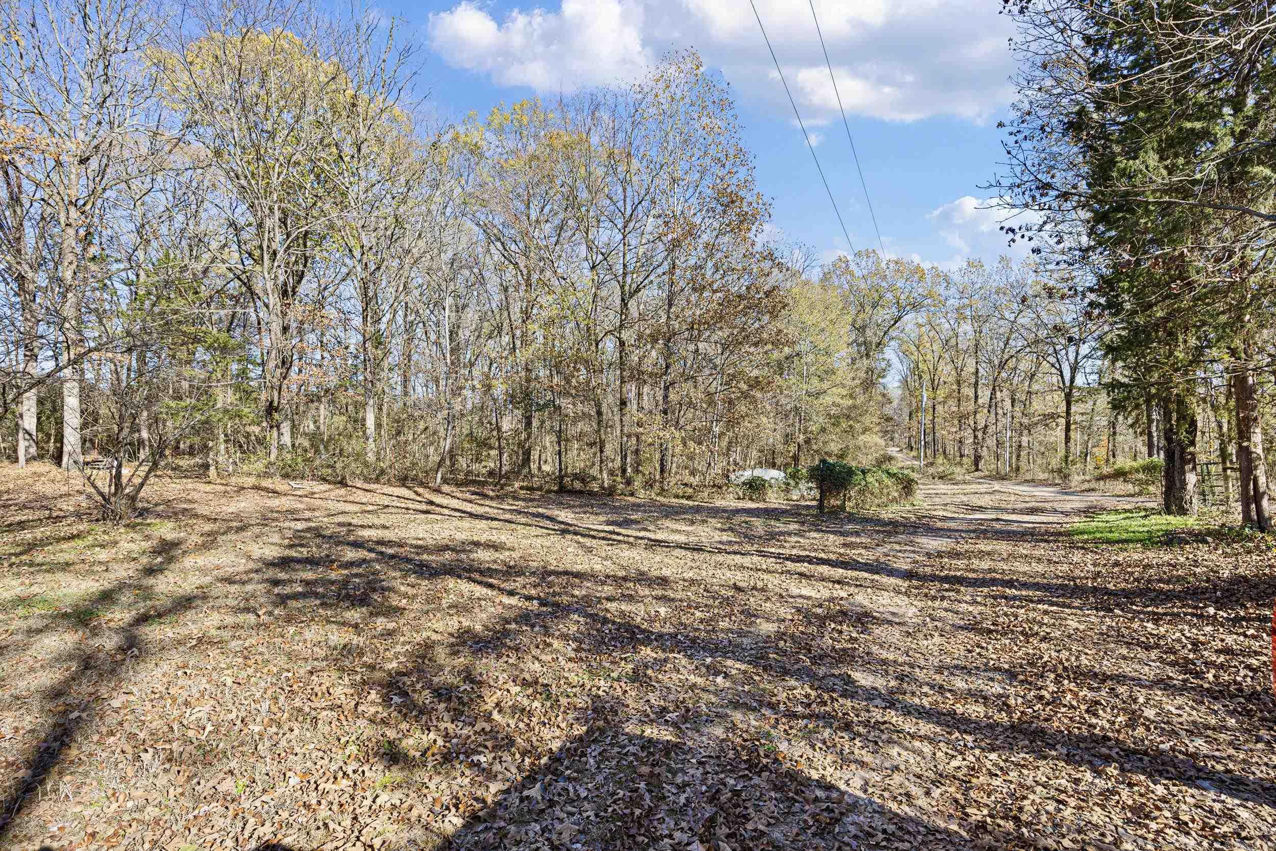 1 Frog Hop  Morrilton, AR