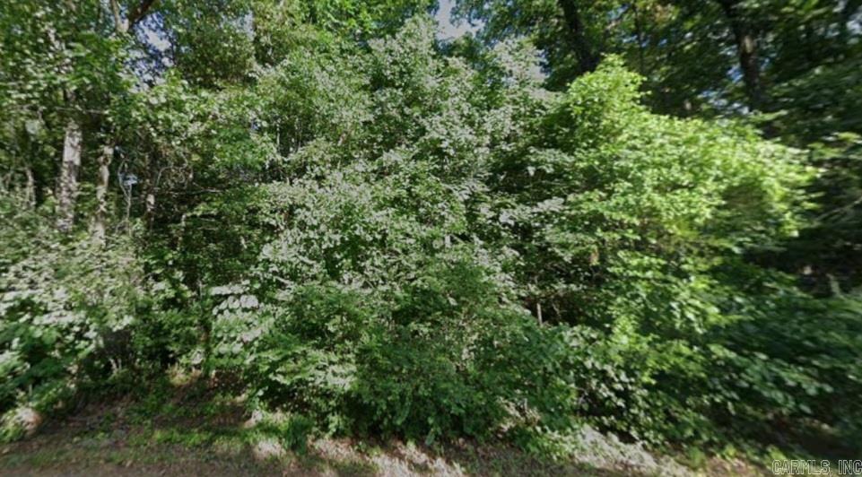 Lot 1-2 E Lakeshore  Cherokee Village, AR