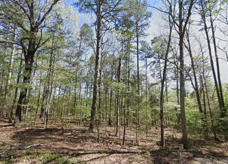 0 Castle Ridge Heights  Fairfield Bay, AR