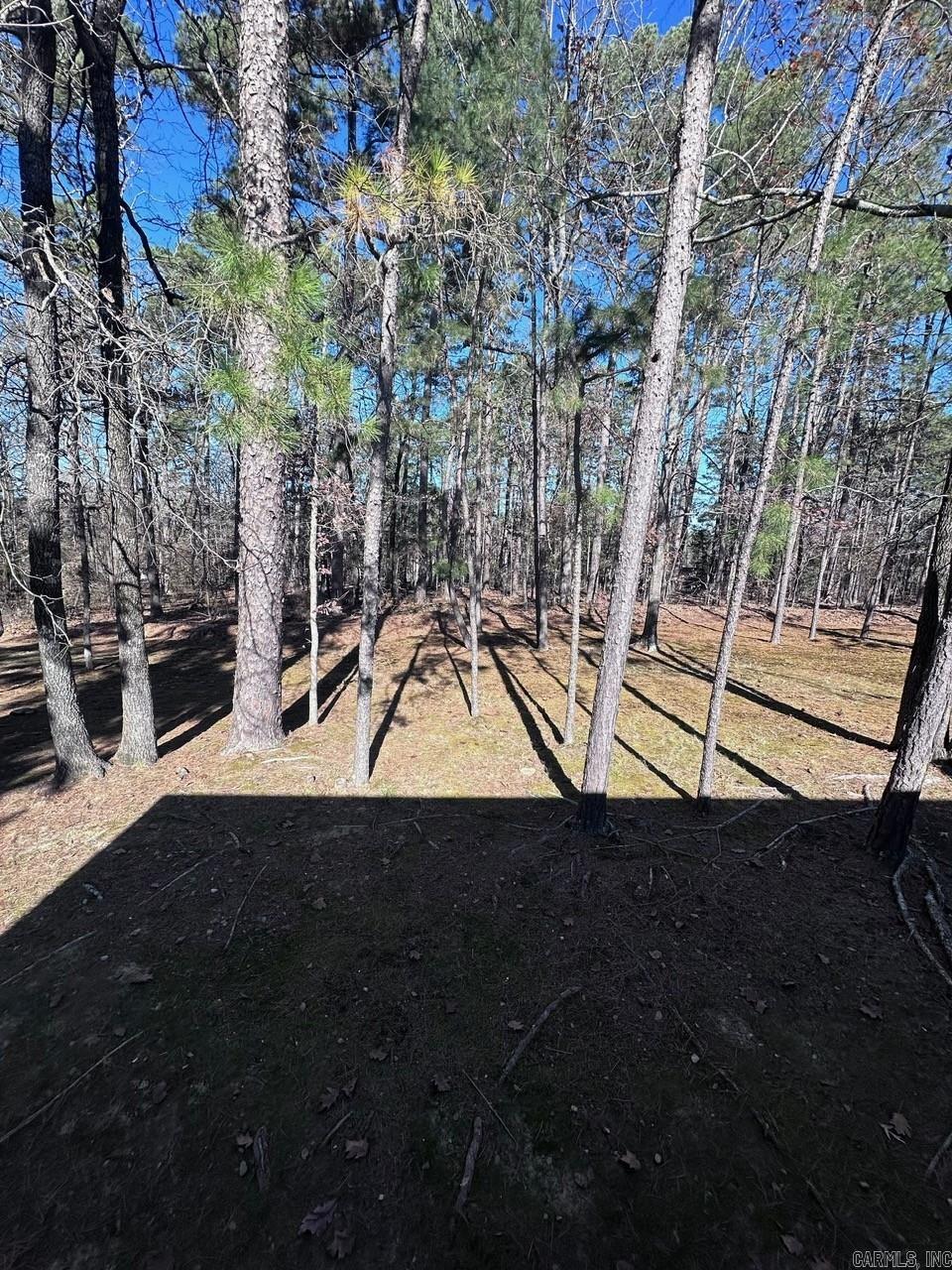 11 Lindsay Ln  Hot Springs Village, AR