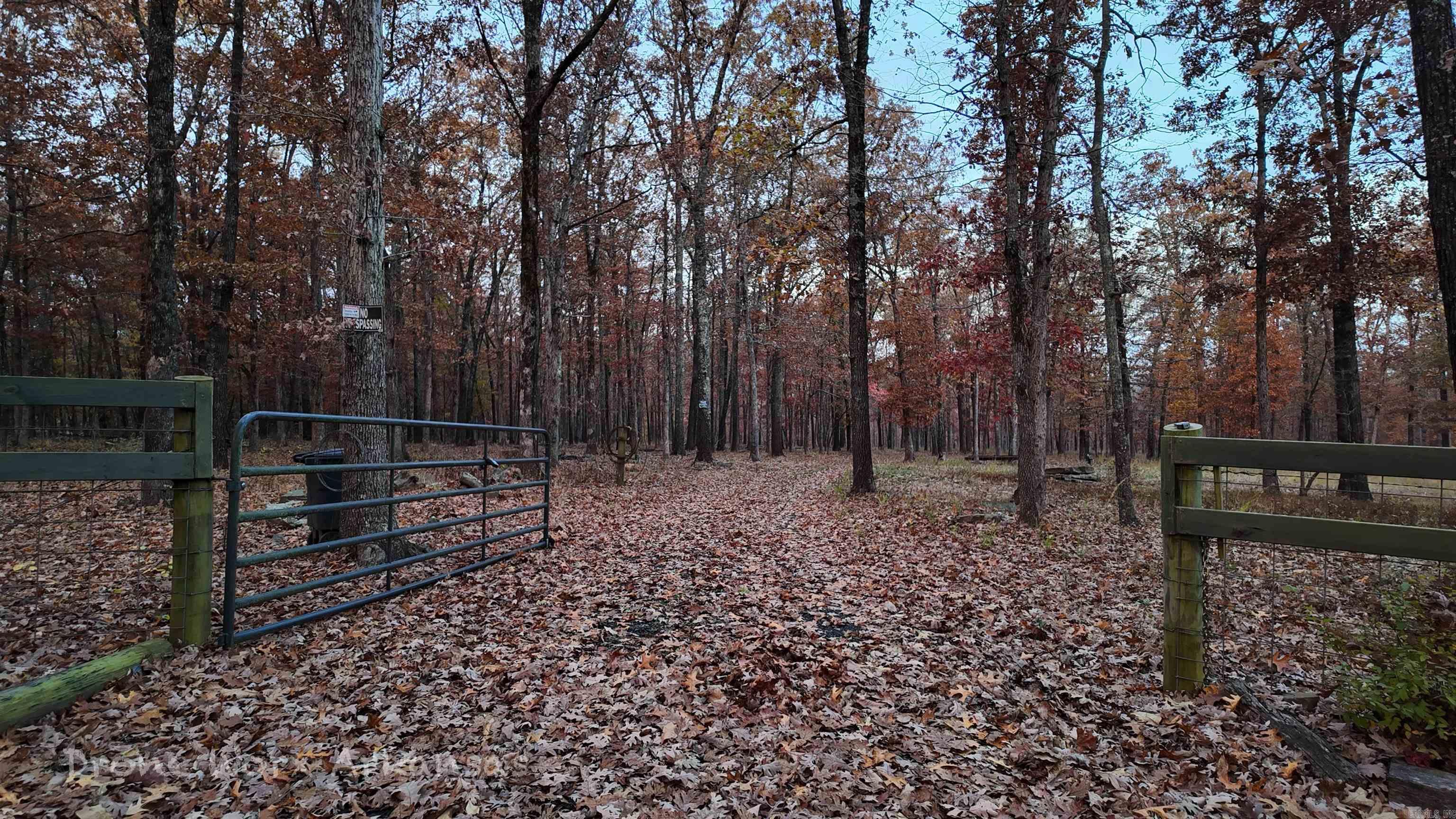 Shady Grove Road Leslie, AR 72645