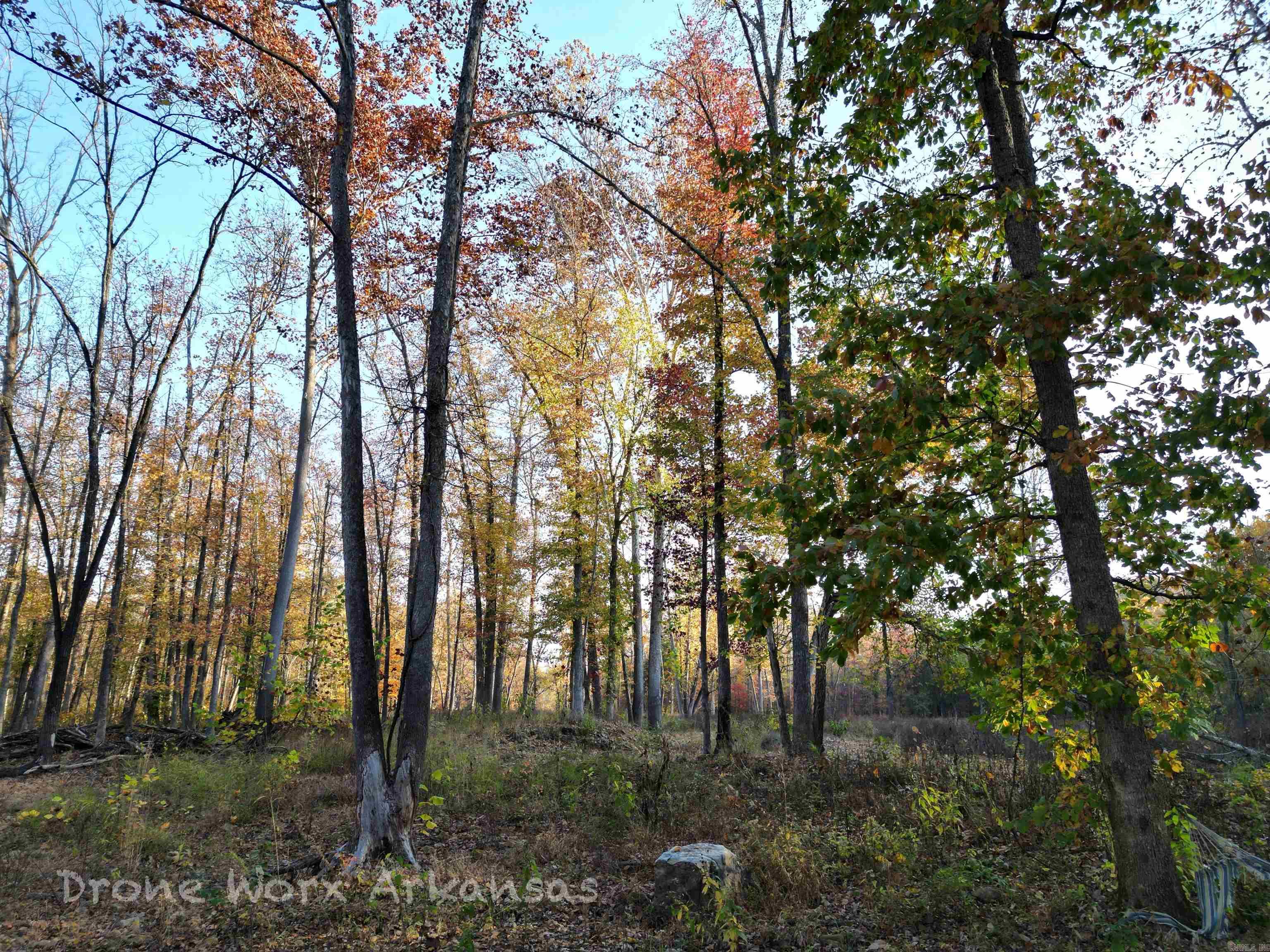 Shady Grove Road Leslie, AR 72645