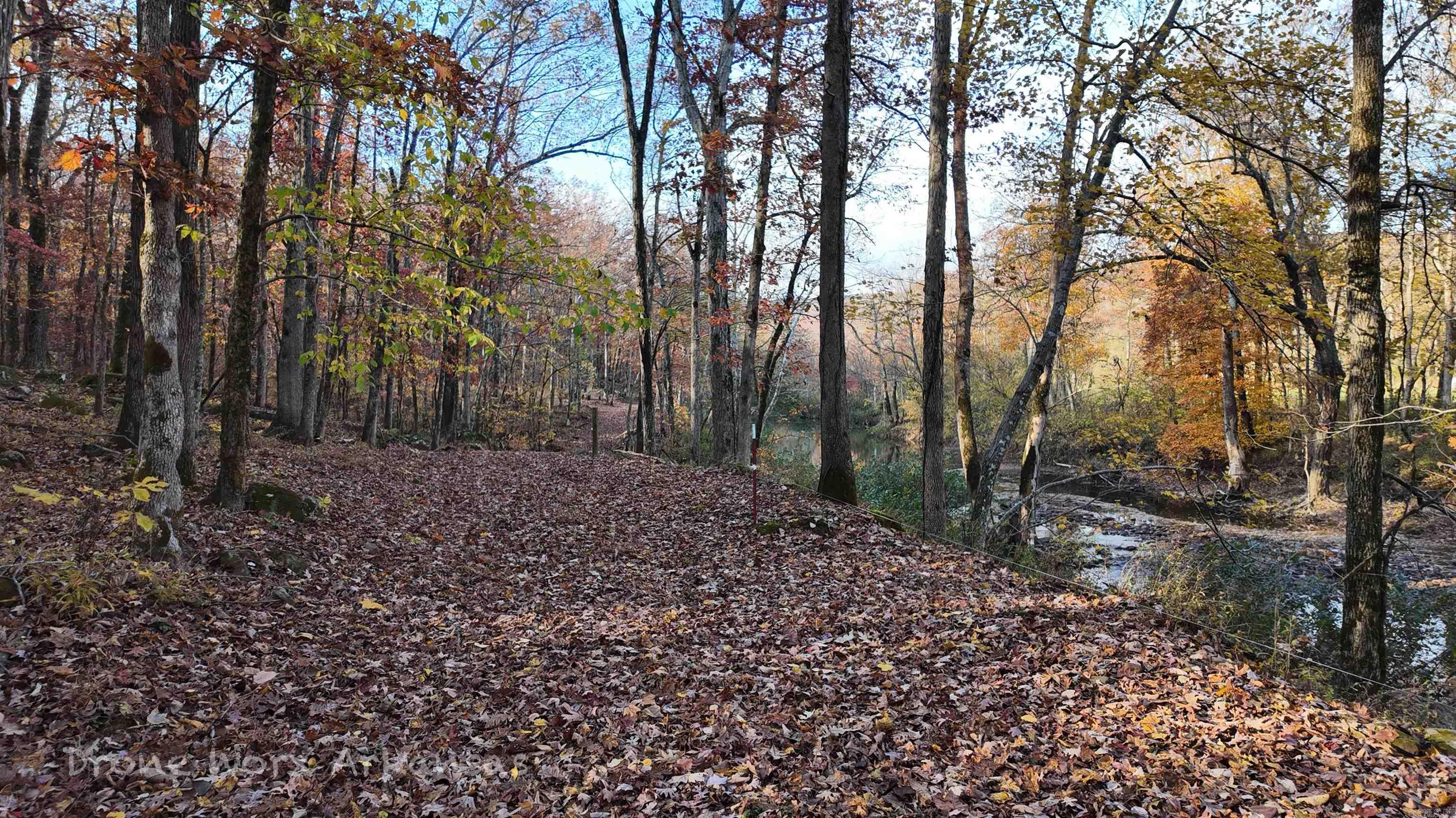 Shady Grove Road Leslie, AR 72645