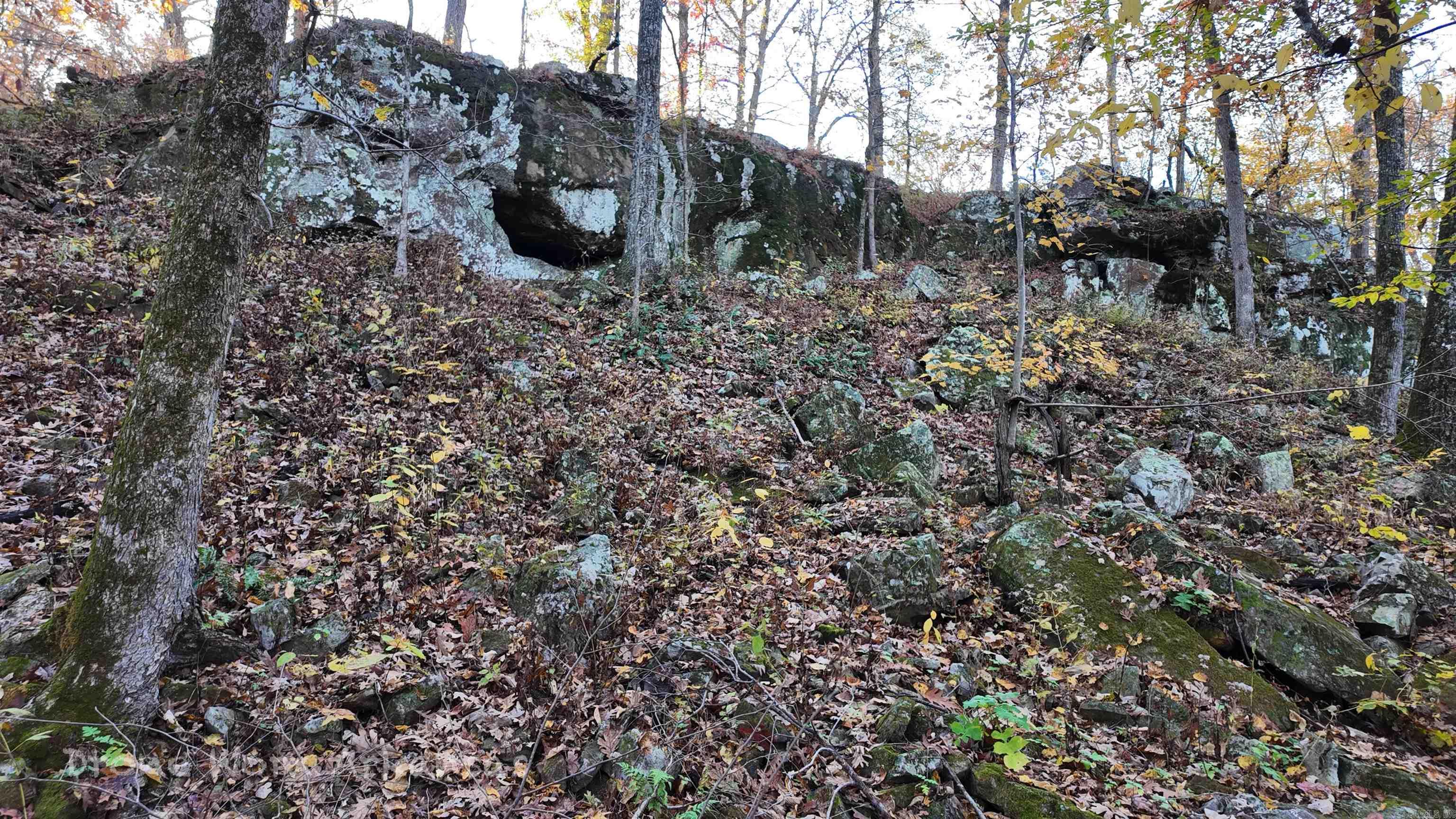 Shady Grove Road Leslie, AR 72645