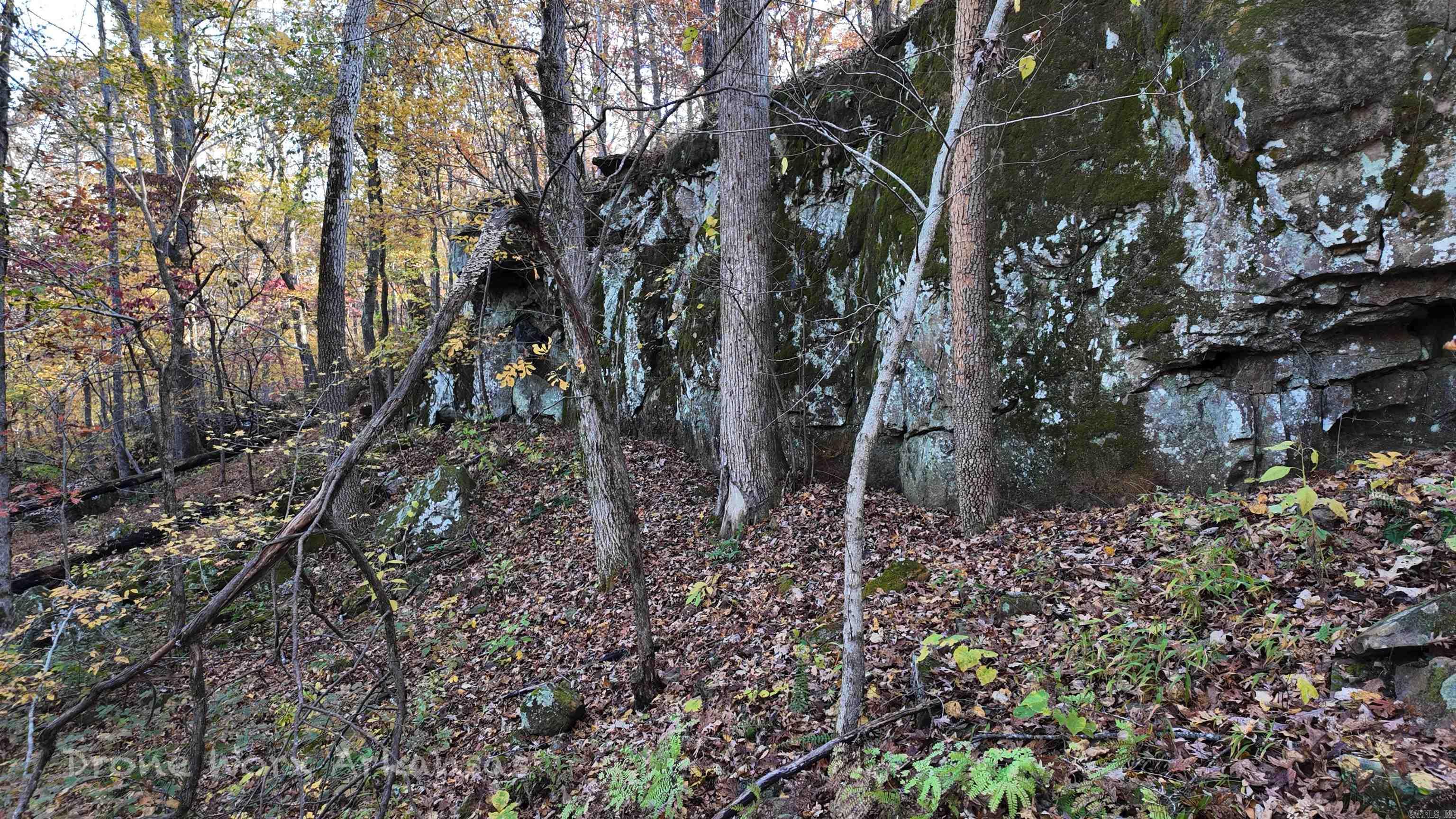 Shady Grove Road Leslie, AR 72645