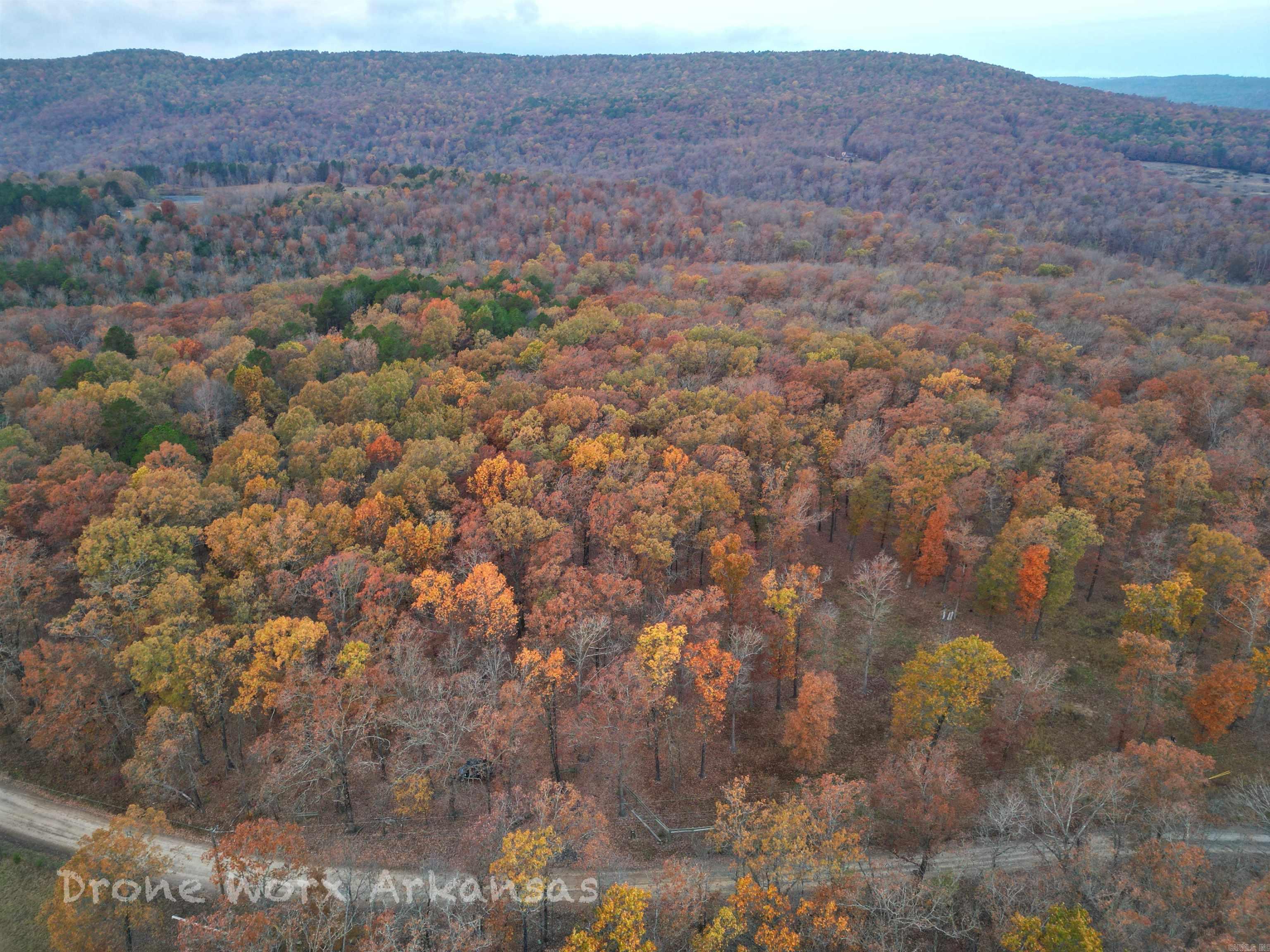 Shady Grove Road Leslie, AR 72645