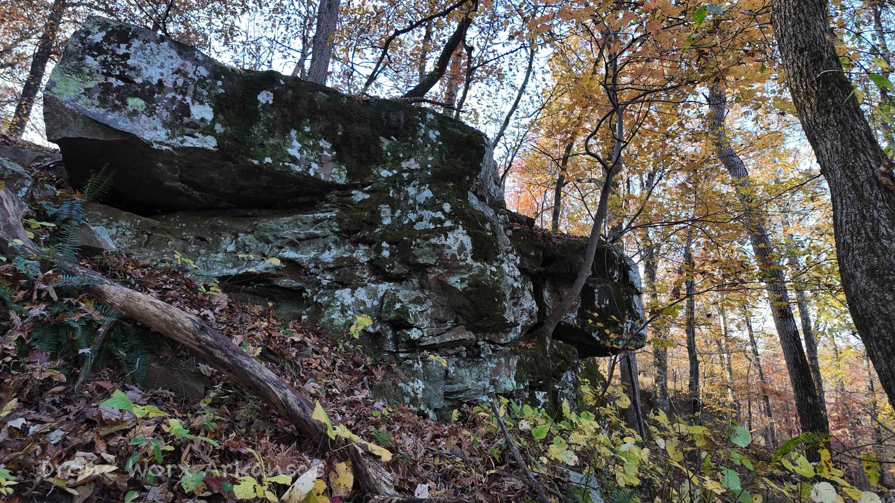  Shady Grove  Leslie, AR