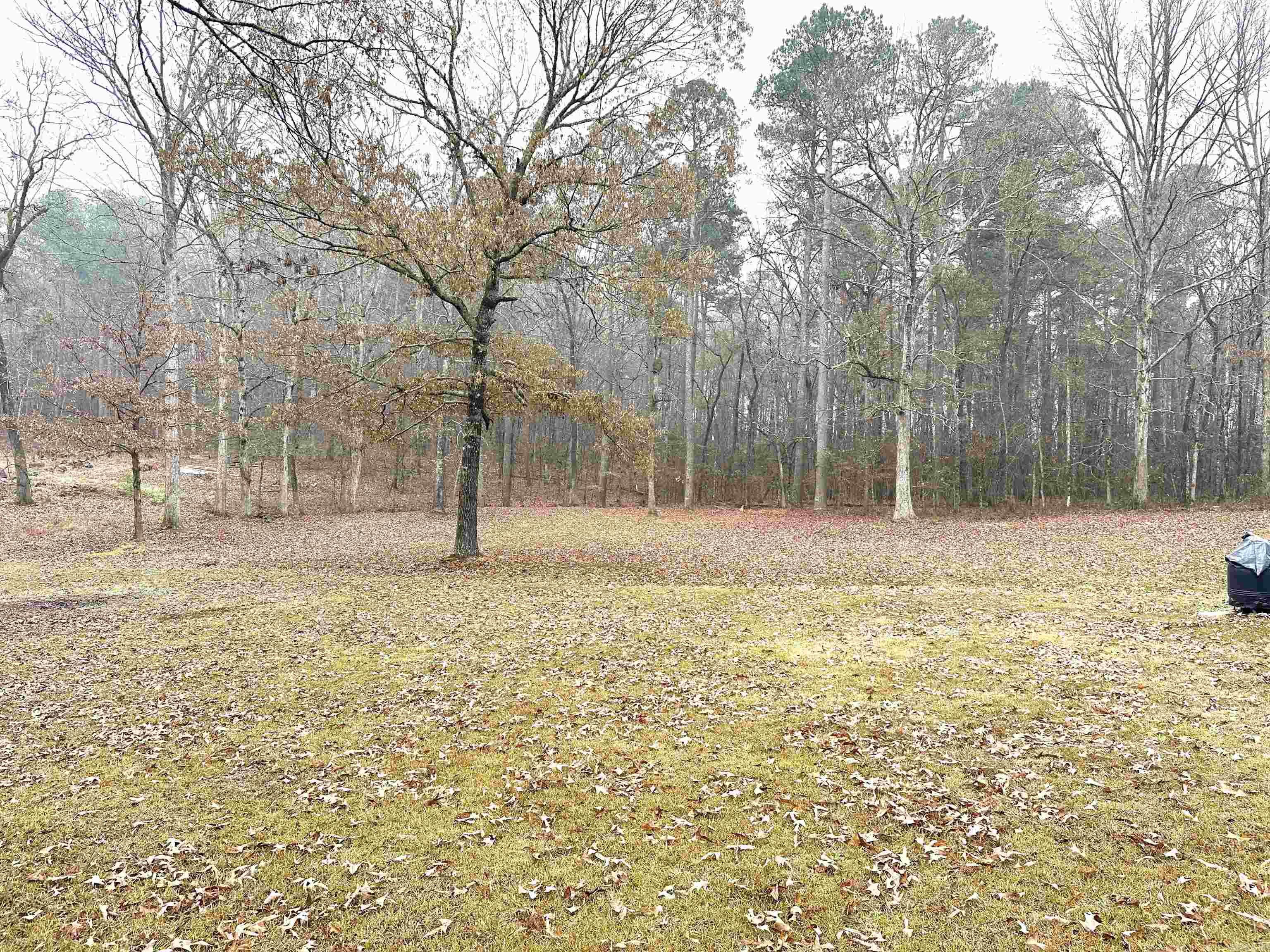 159 Red Oak Street Malvern, AR 72104