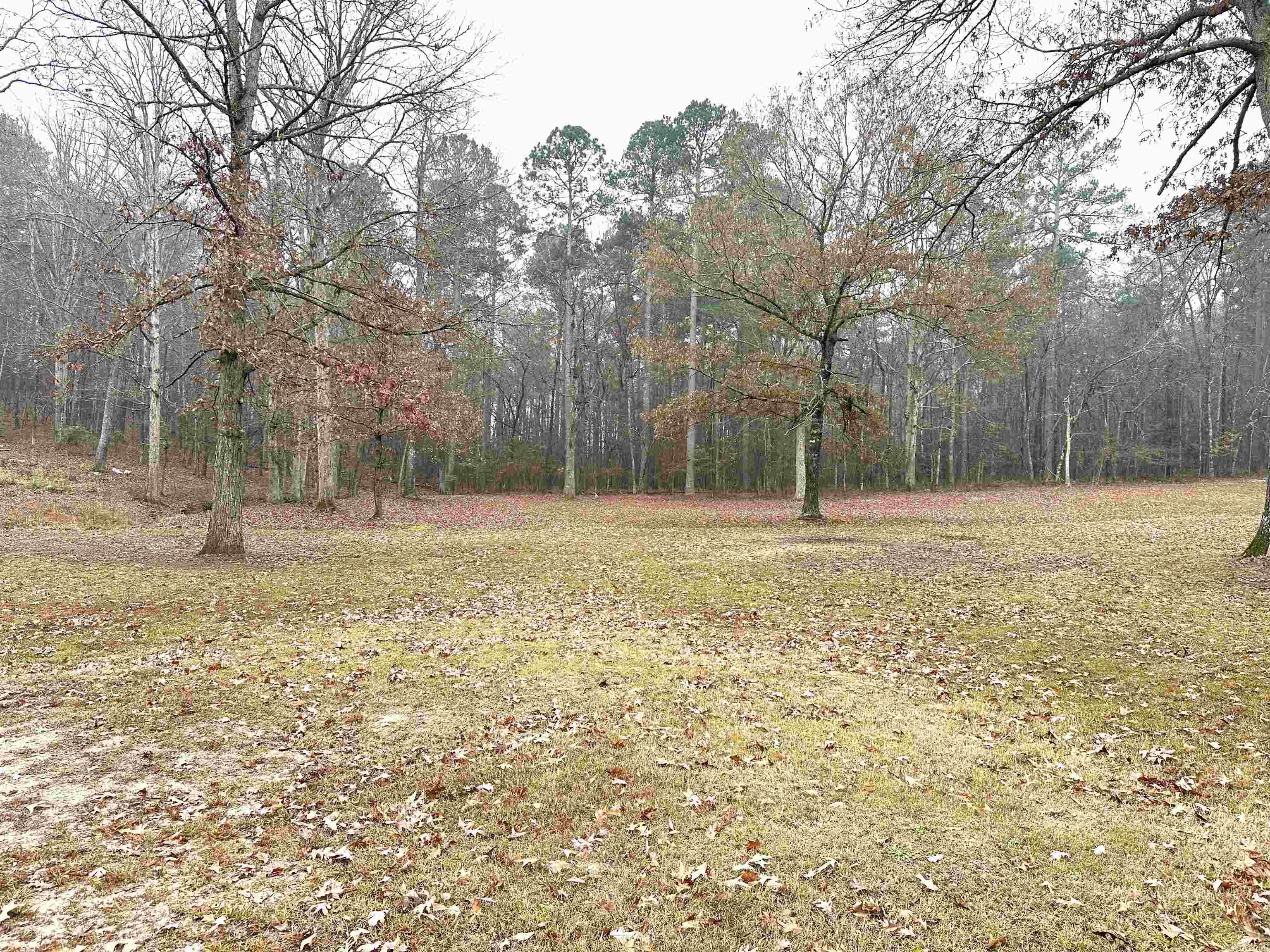 159 Red Oak Street Malvern, AR 72104