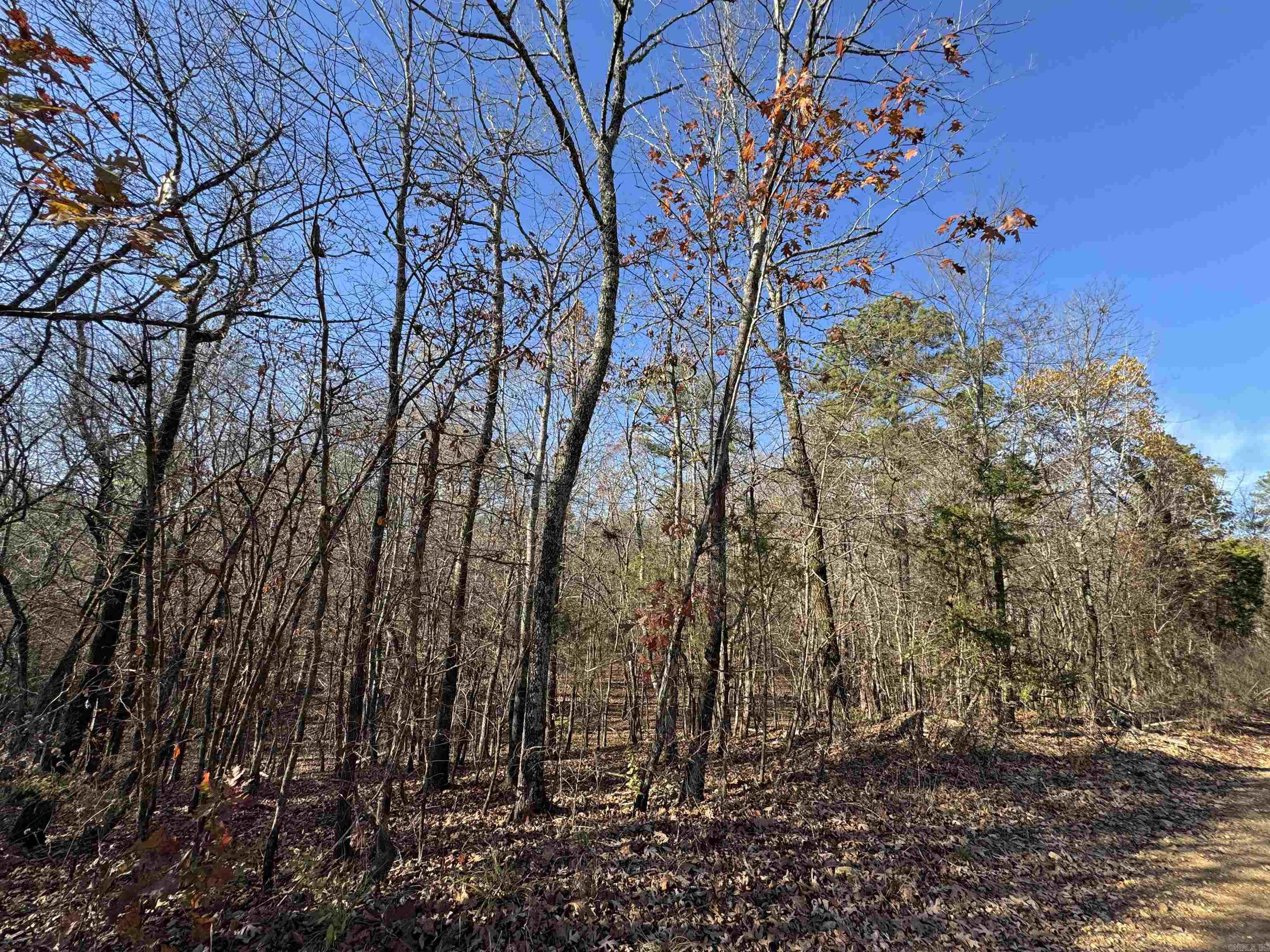 277 Clayton  Bismarck, AR