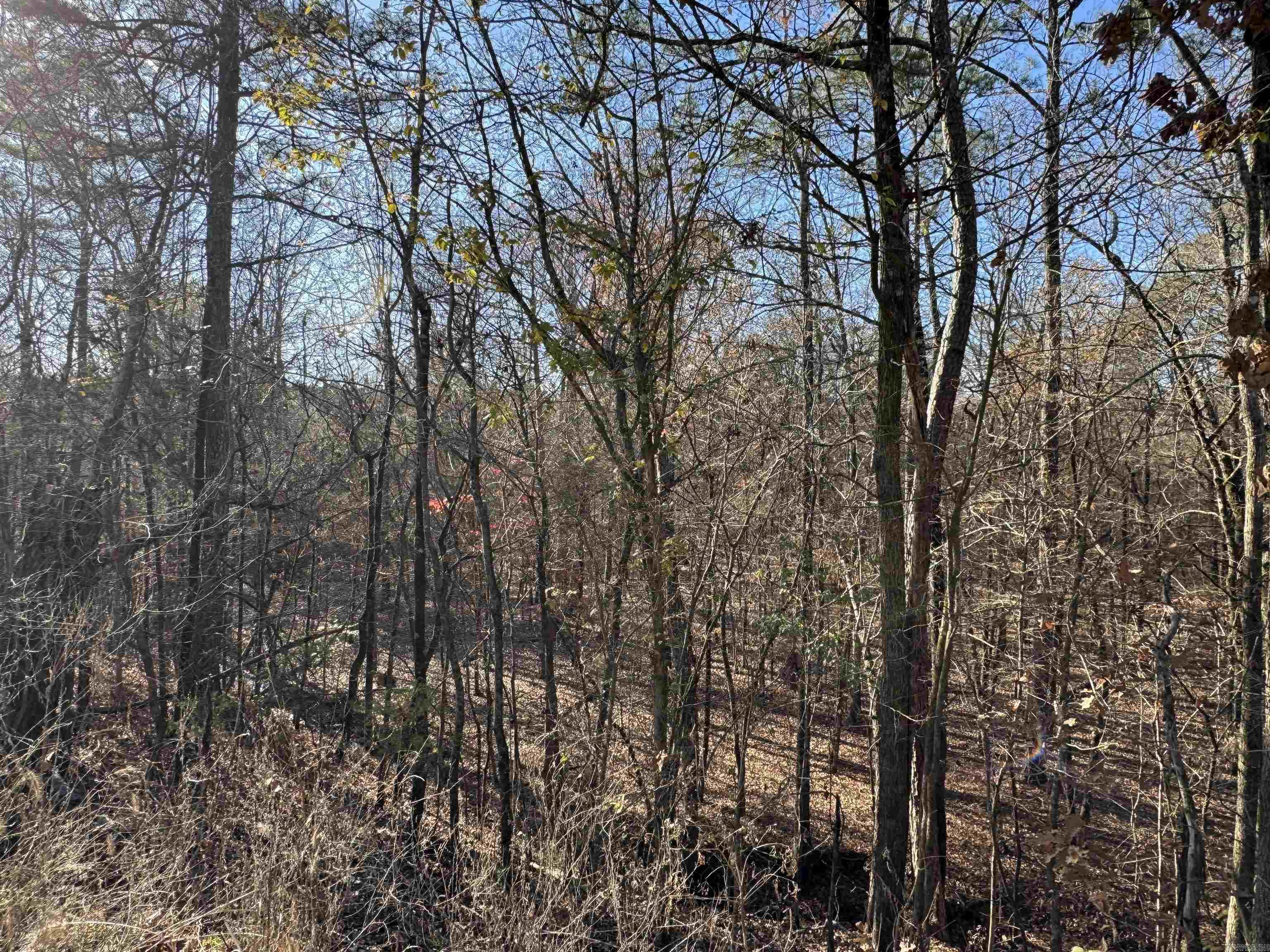 277 Clayton  Bismarck, AR