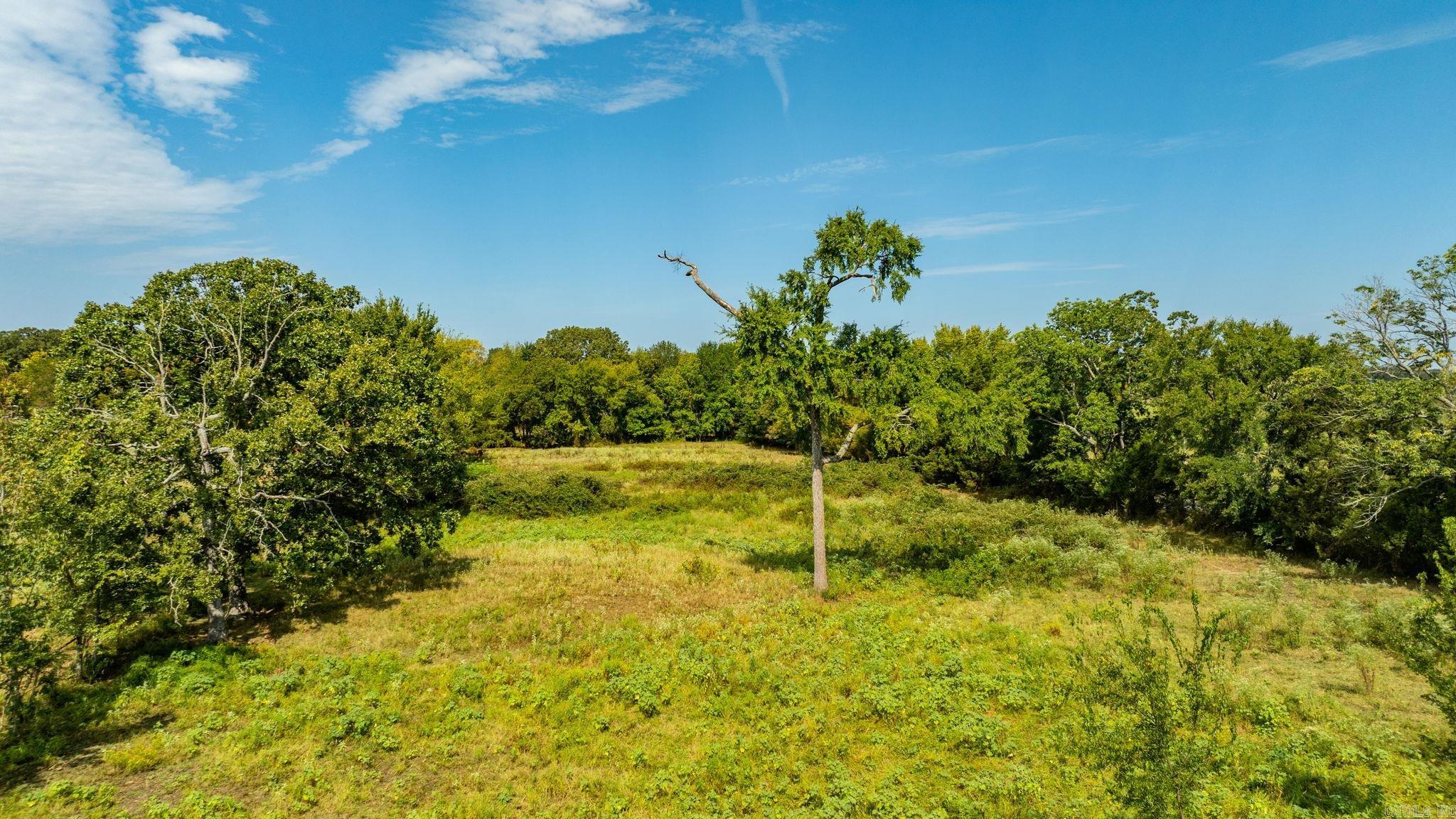 1431 Red Hill  Mount Vernon, AR