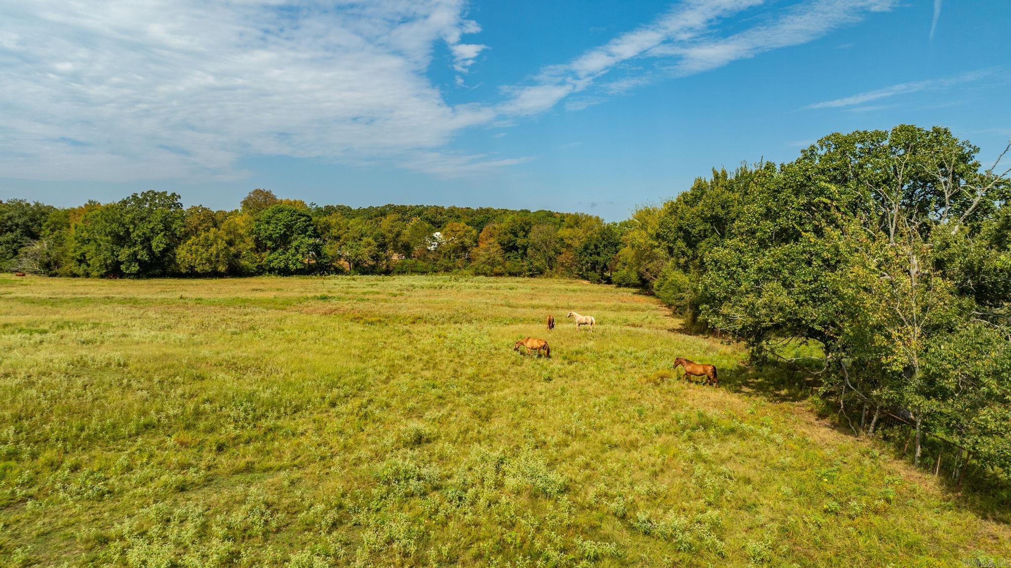 1431 Red Hill  Mount Vernon, AR