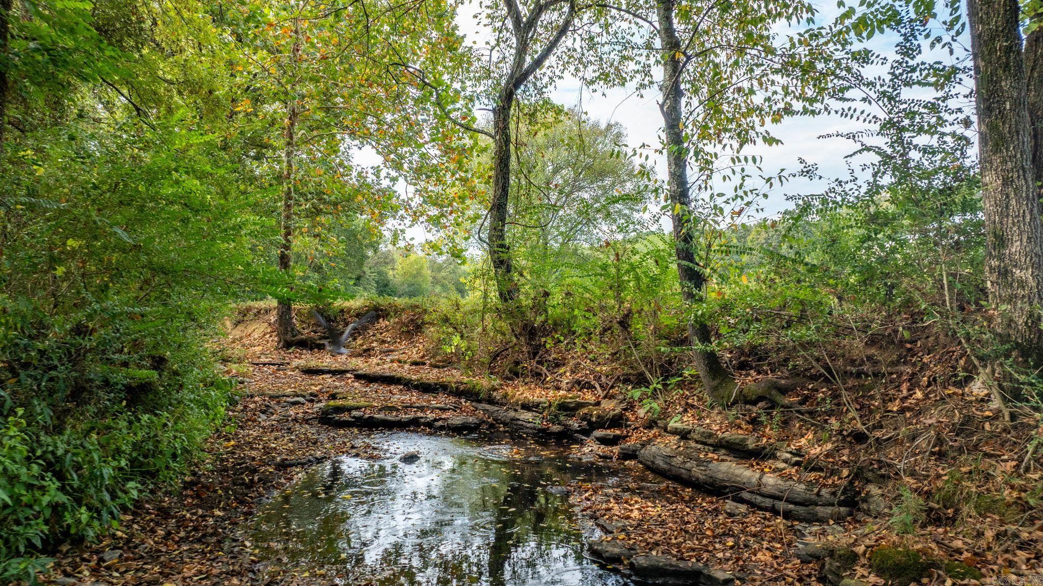 1431 Red Hill  Mount Vernon, AR