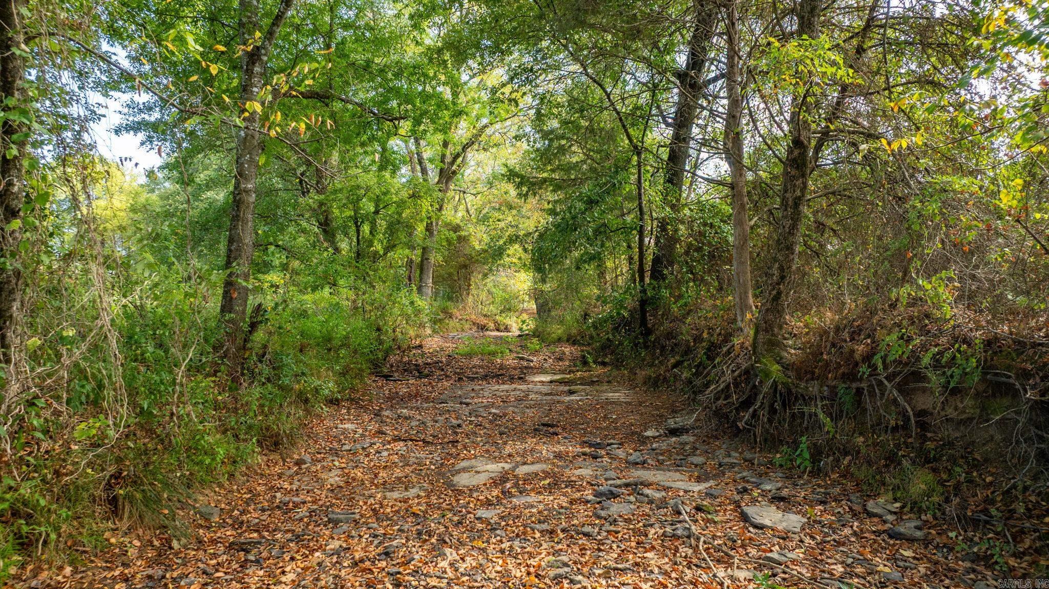 1431 Red Hill  Mount Vernon, AR