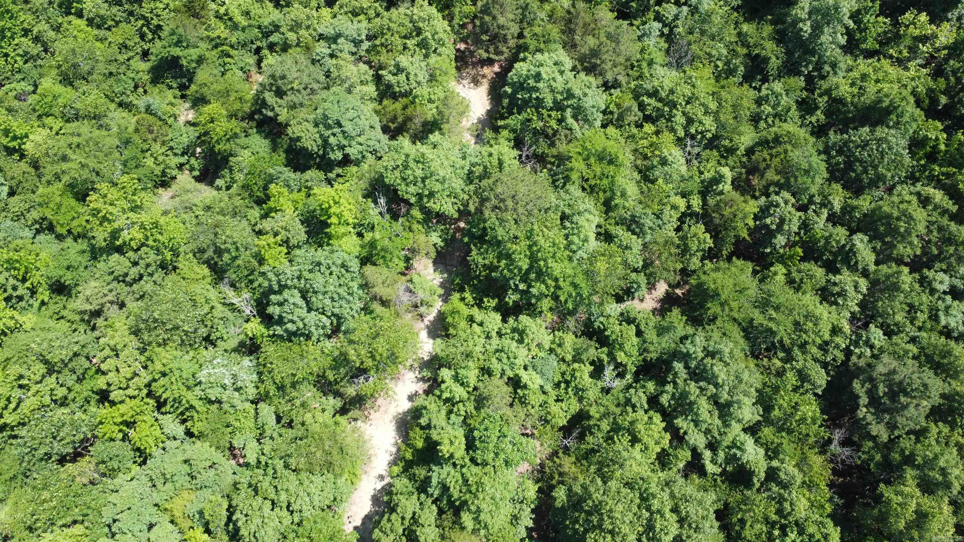 246 Burgess Bonnerdale, AR 71933