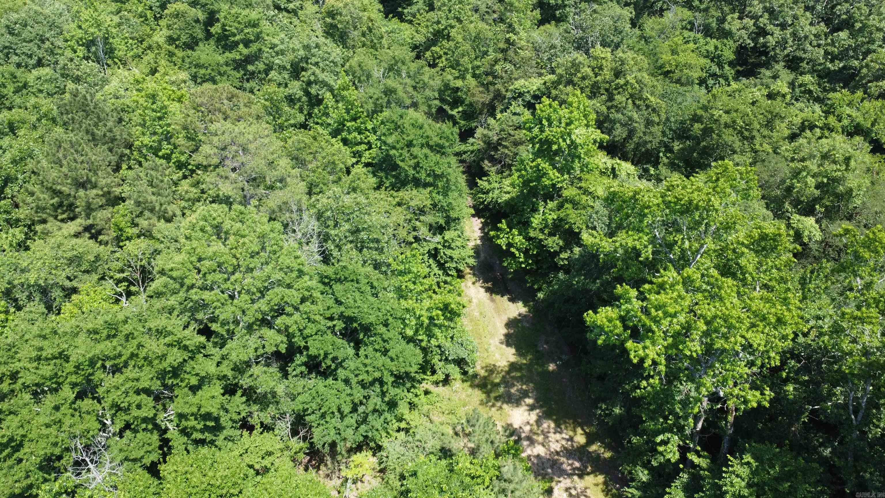 246 Burgess Bonnerdale, AR 71933