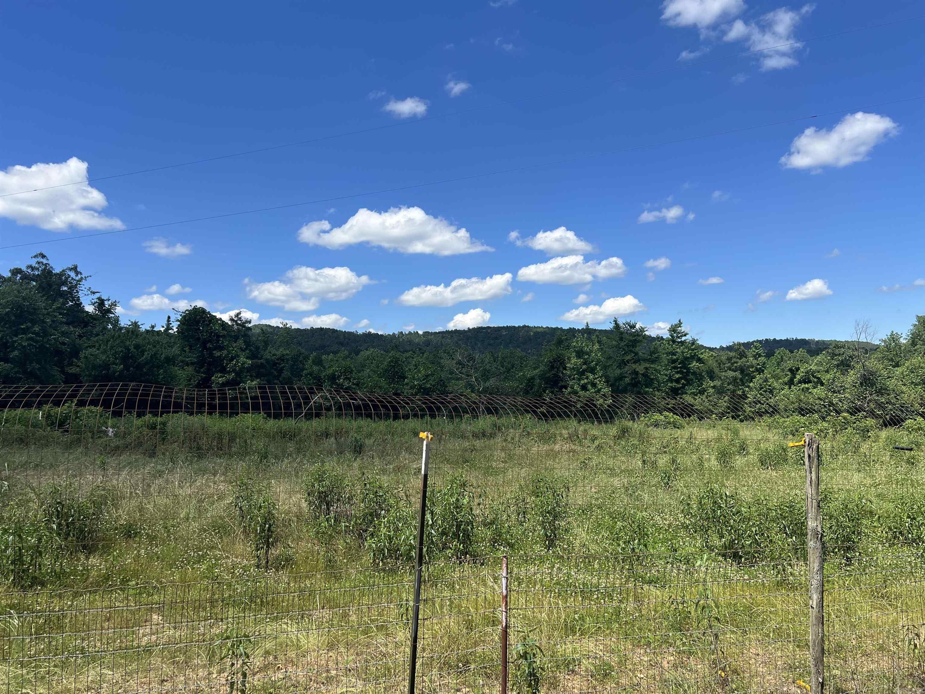 246 Burgess Bonnerdale, AR 71933