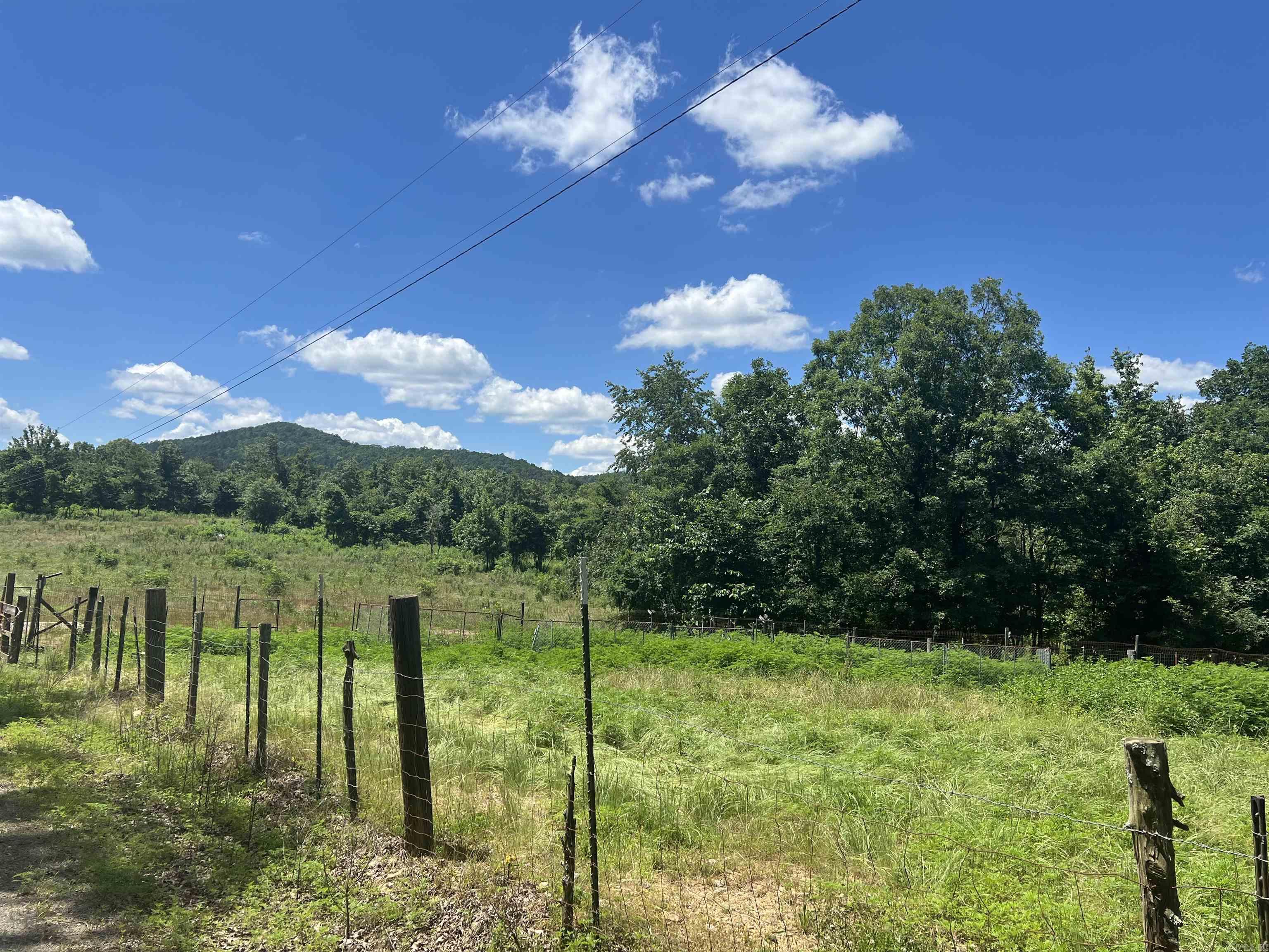 246 Burgess Bonnerdale, AR 71933