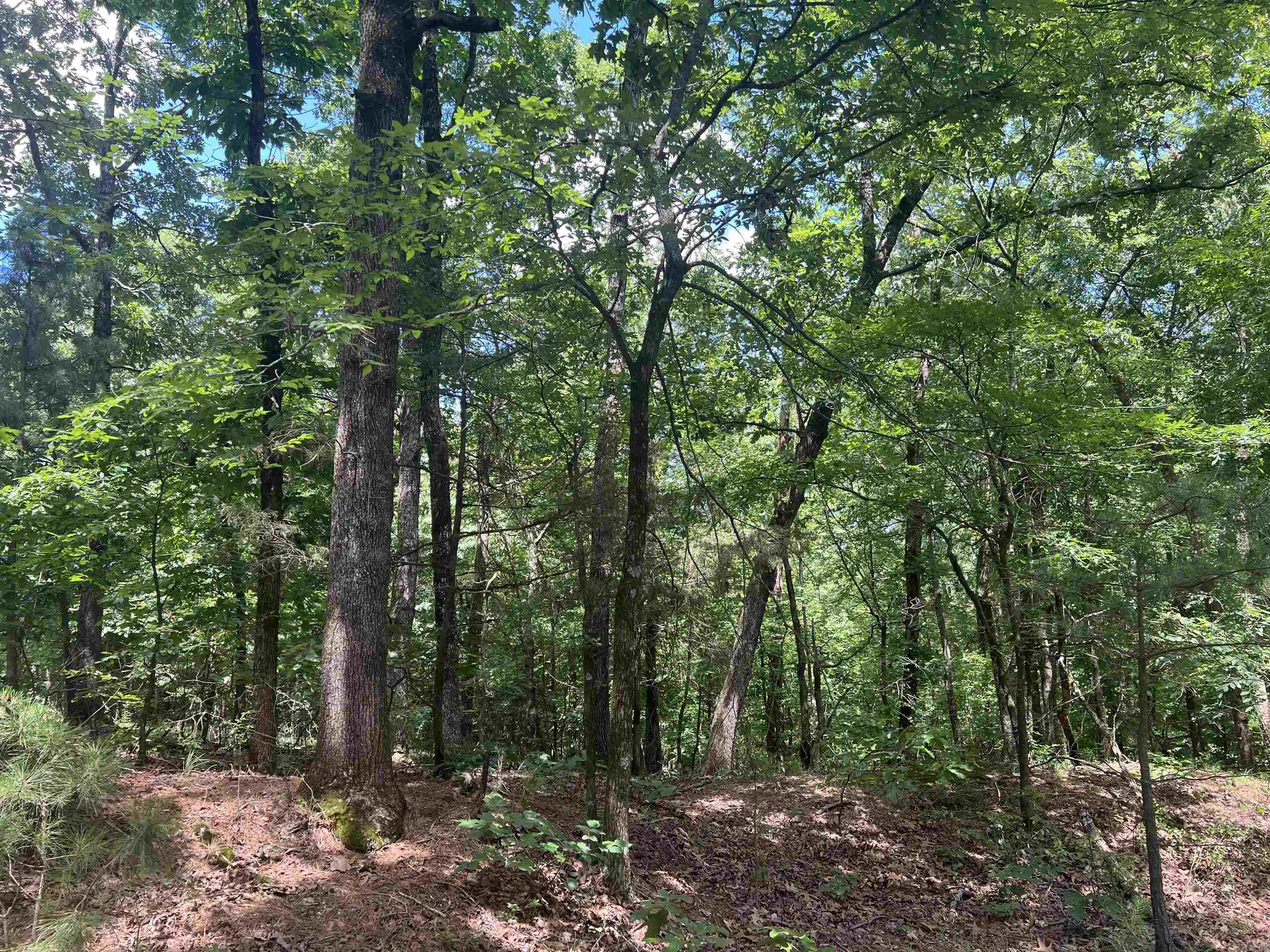 246 Burgess Bonnerdale, AR 71933