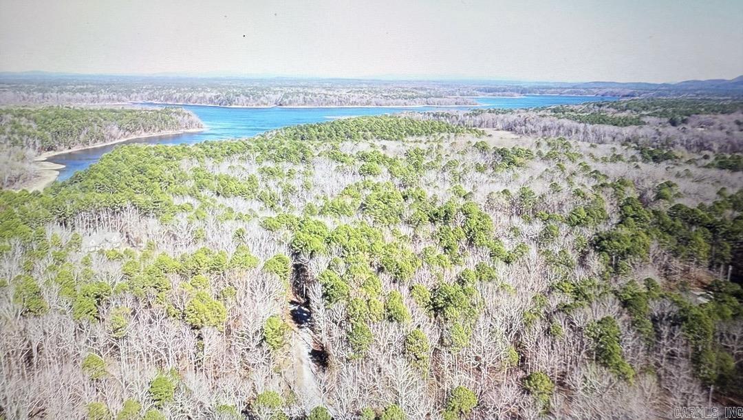 64 Judah Lane Mount Ida, AR 71957