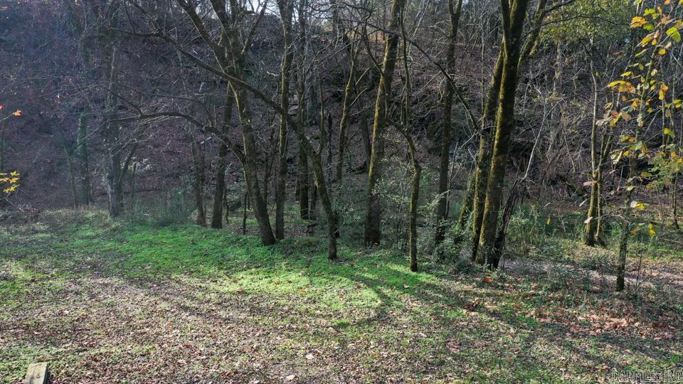 70 Three Pines  Norman, AR