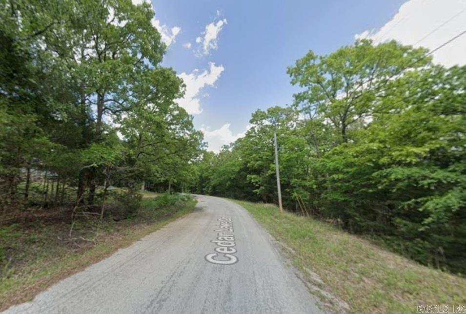 1102 Cedar Lake  Horseshoe Bend, AR