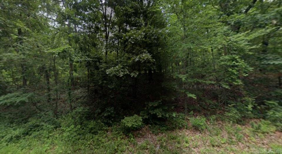 Lots 1-3 Acres  Ozark Acres, AR