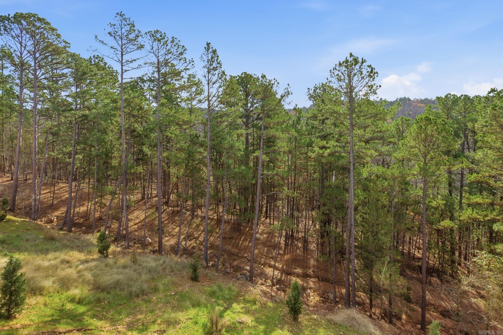 173 Ridgeview Trail Maumelle, AR 72113