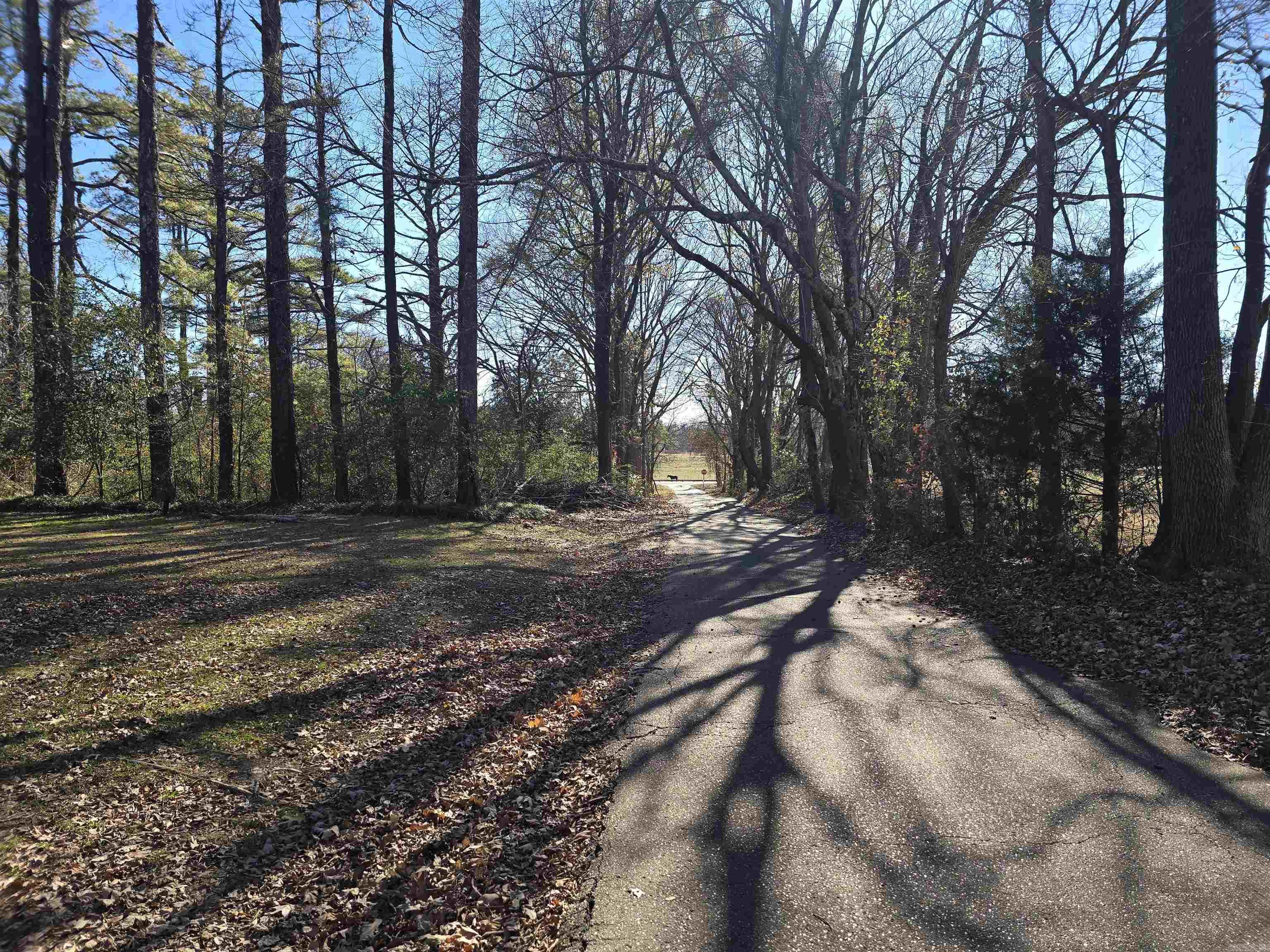 106 Honeysuckle  Helena, AR