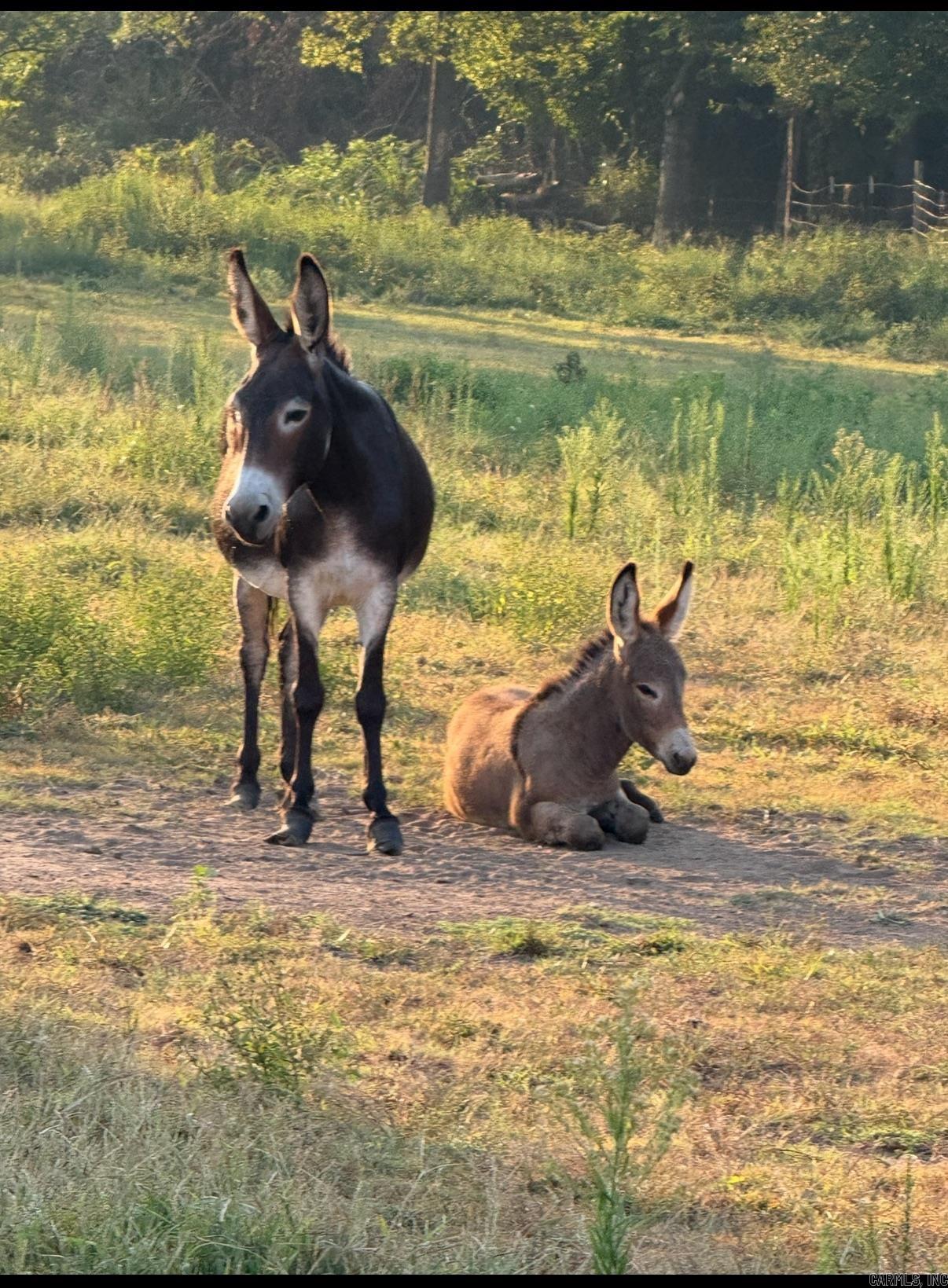 519 Duff Road  Lamar, AR