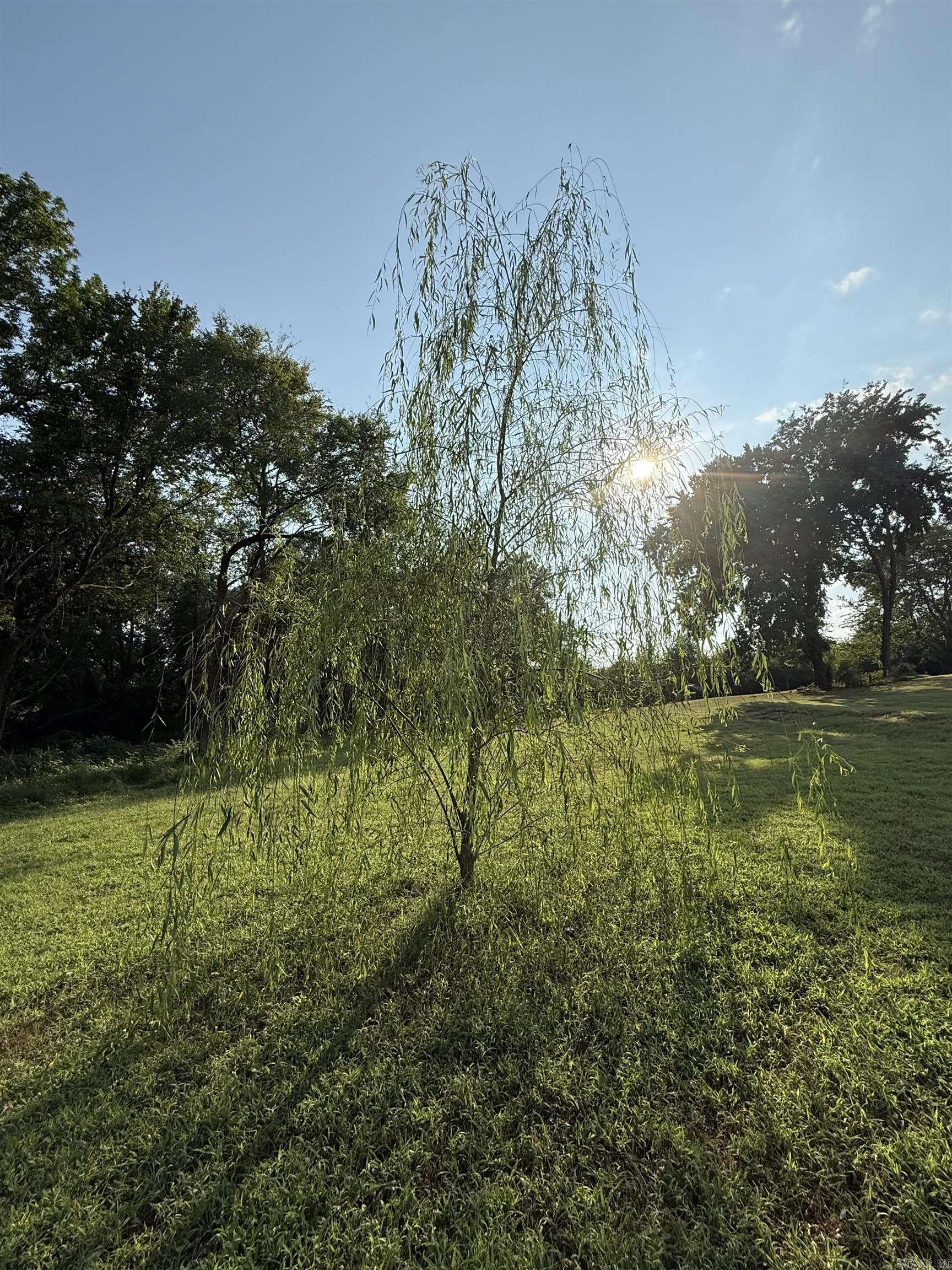 519 Duff Road  Lamar, AR