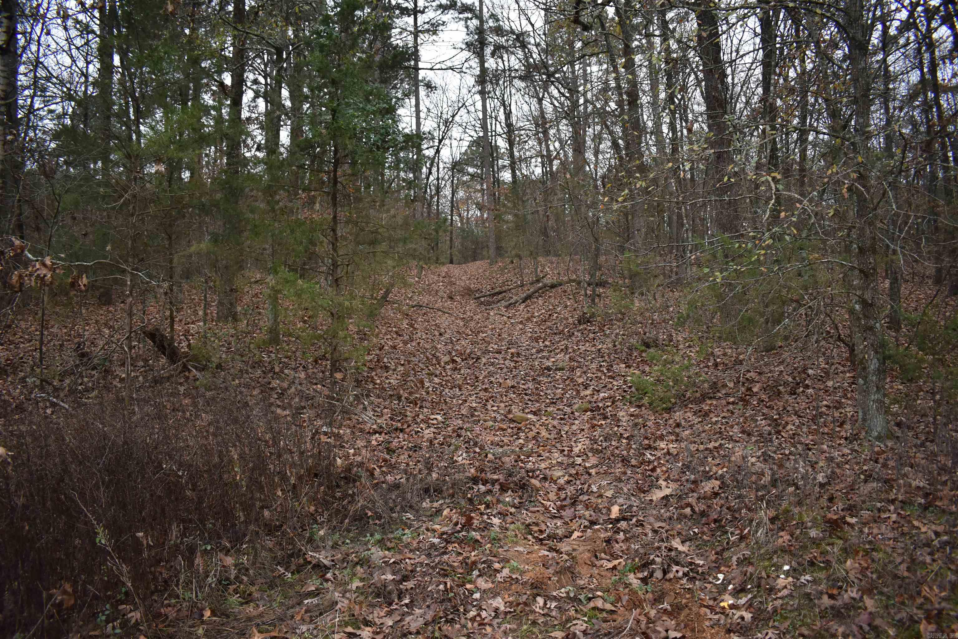 0000 Old Creek RD  Scranton, AR