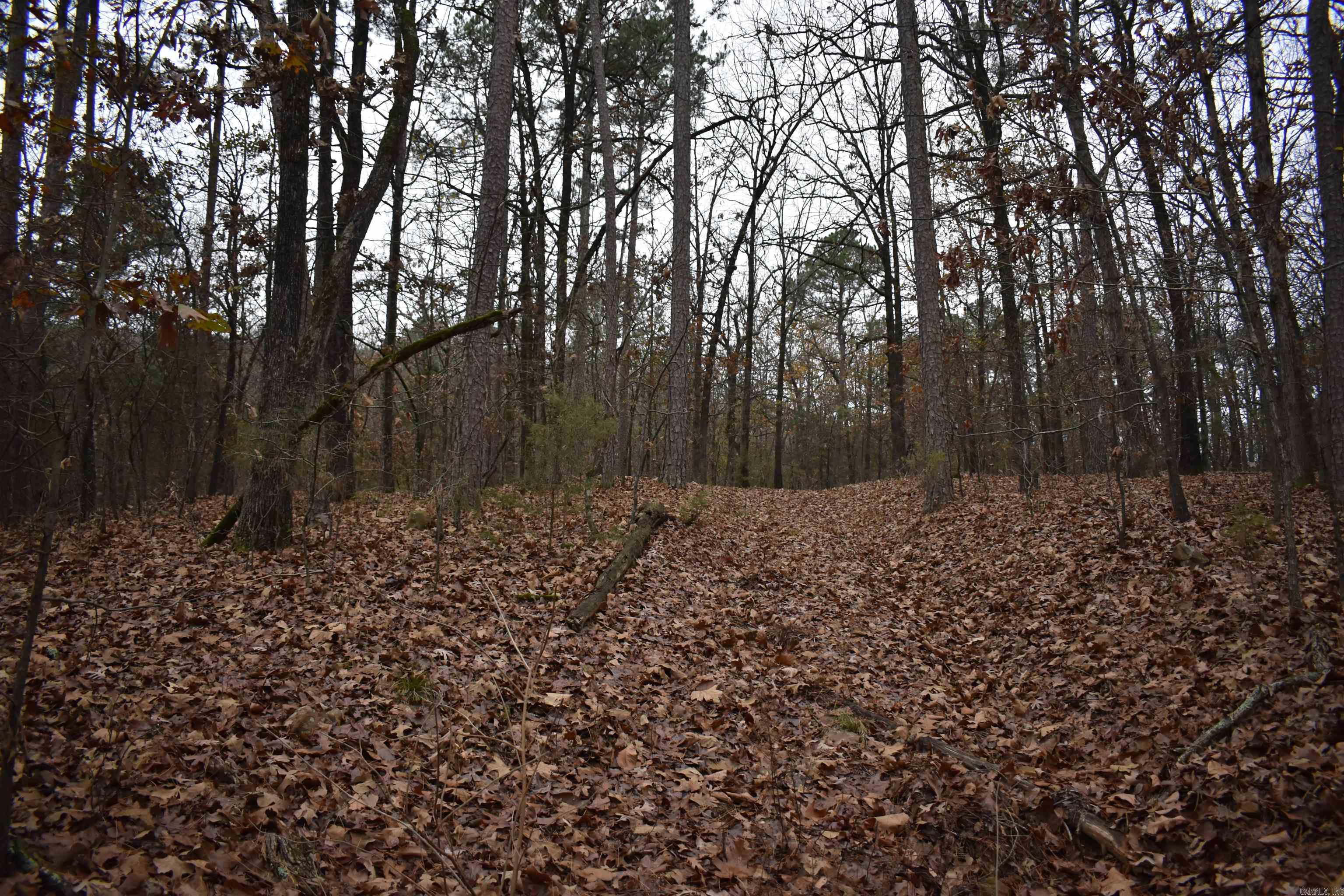 0000 Old Creek RD  Scranton, AR