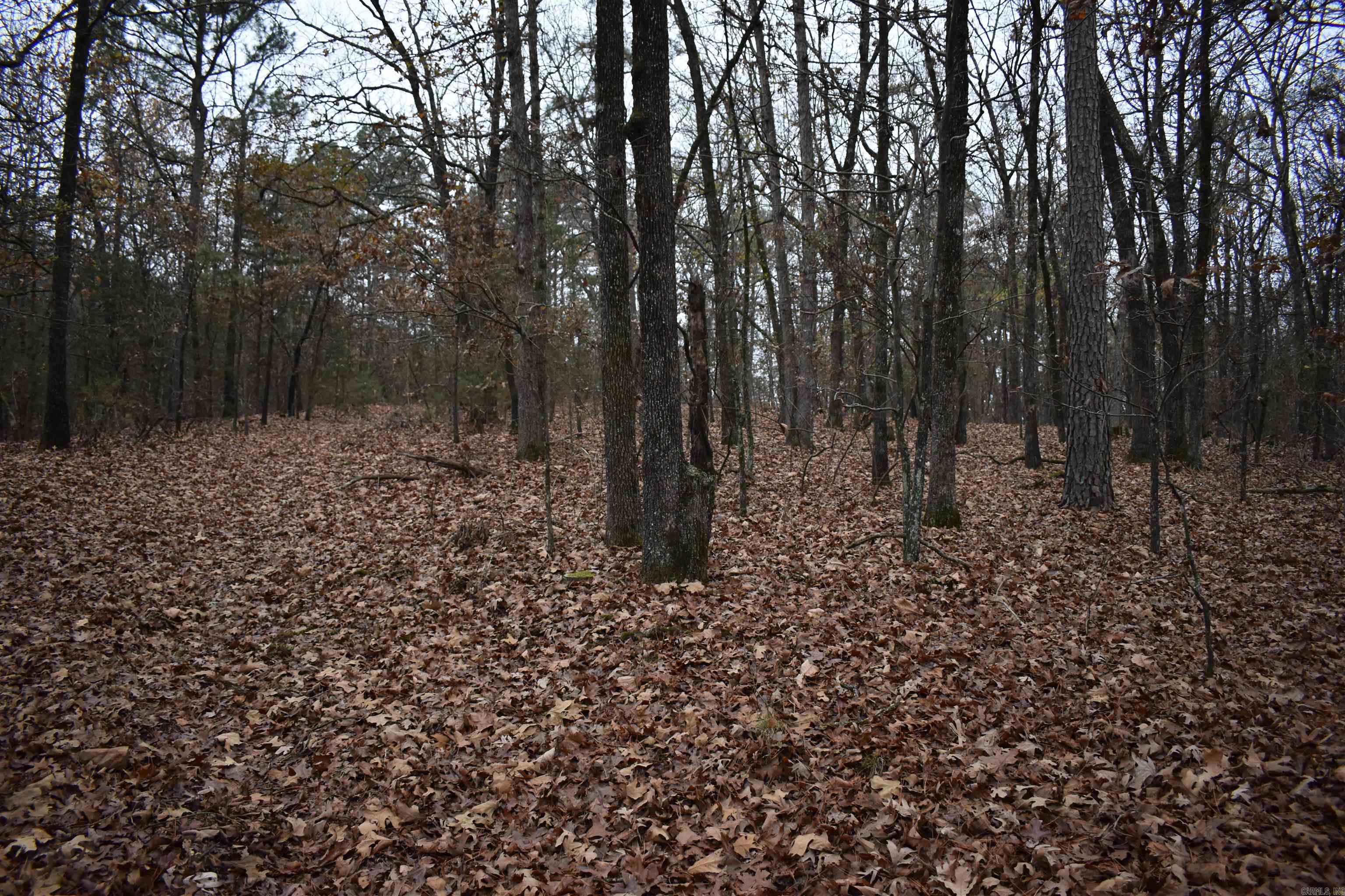 0000 Old Creek RD  Scranton, AR