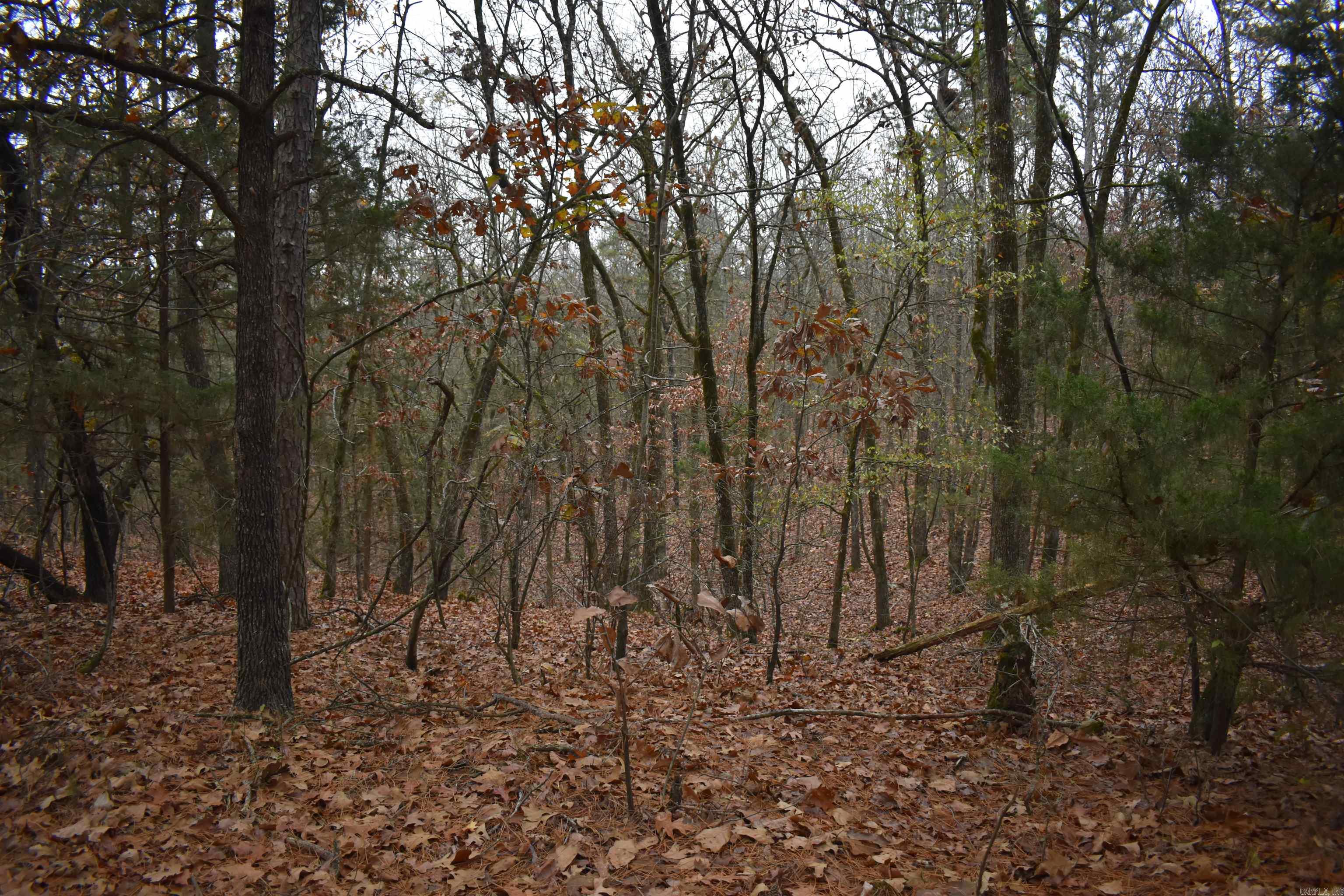 0000 Old Creek RD  Scranton, AR