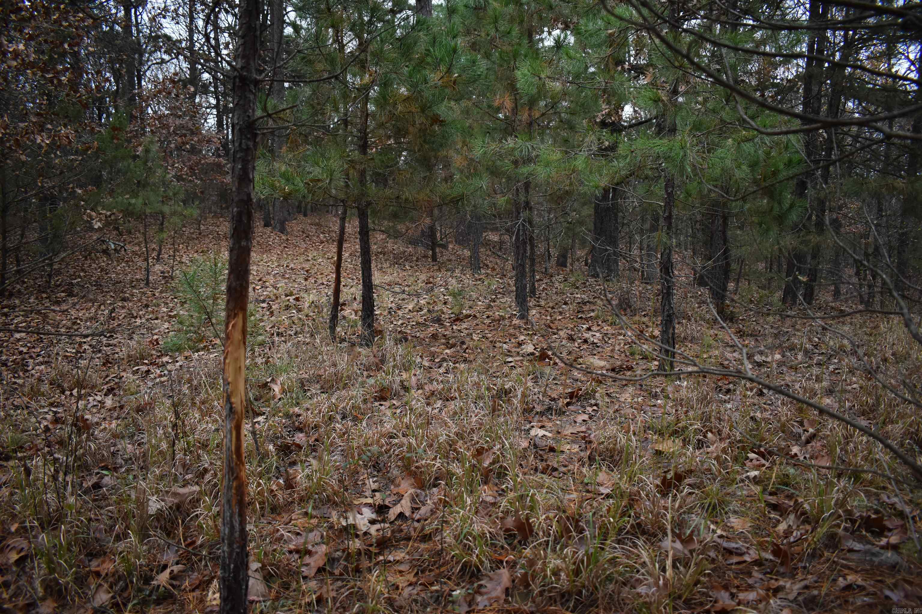 0000 Old Creek RD  Scranton, AR