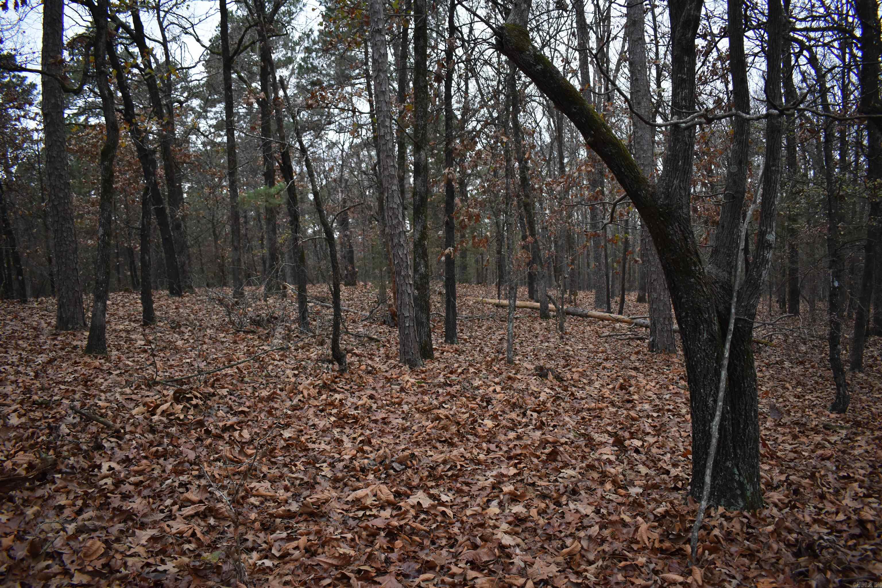 0000 Old Creek RD  Scranton, AR