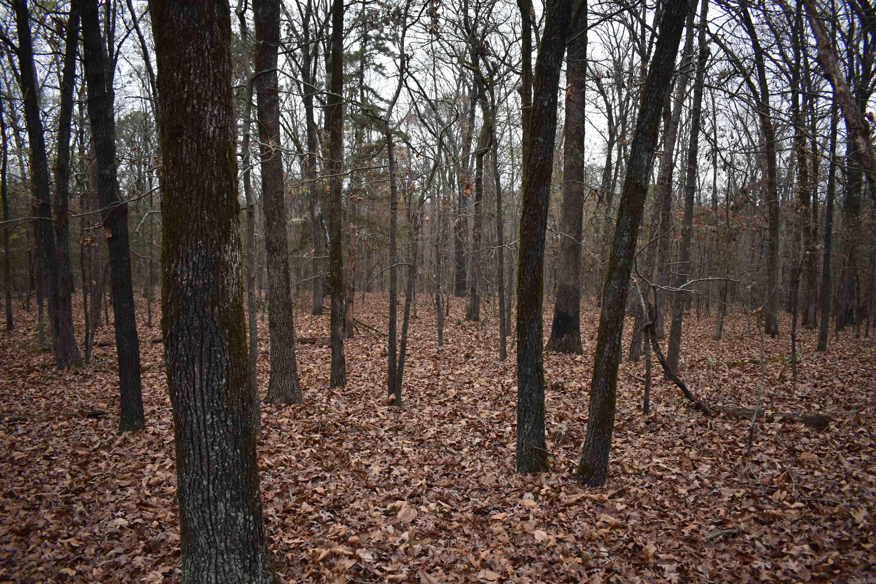 0000 Old Creek RD  Scranton, AR