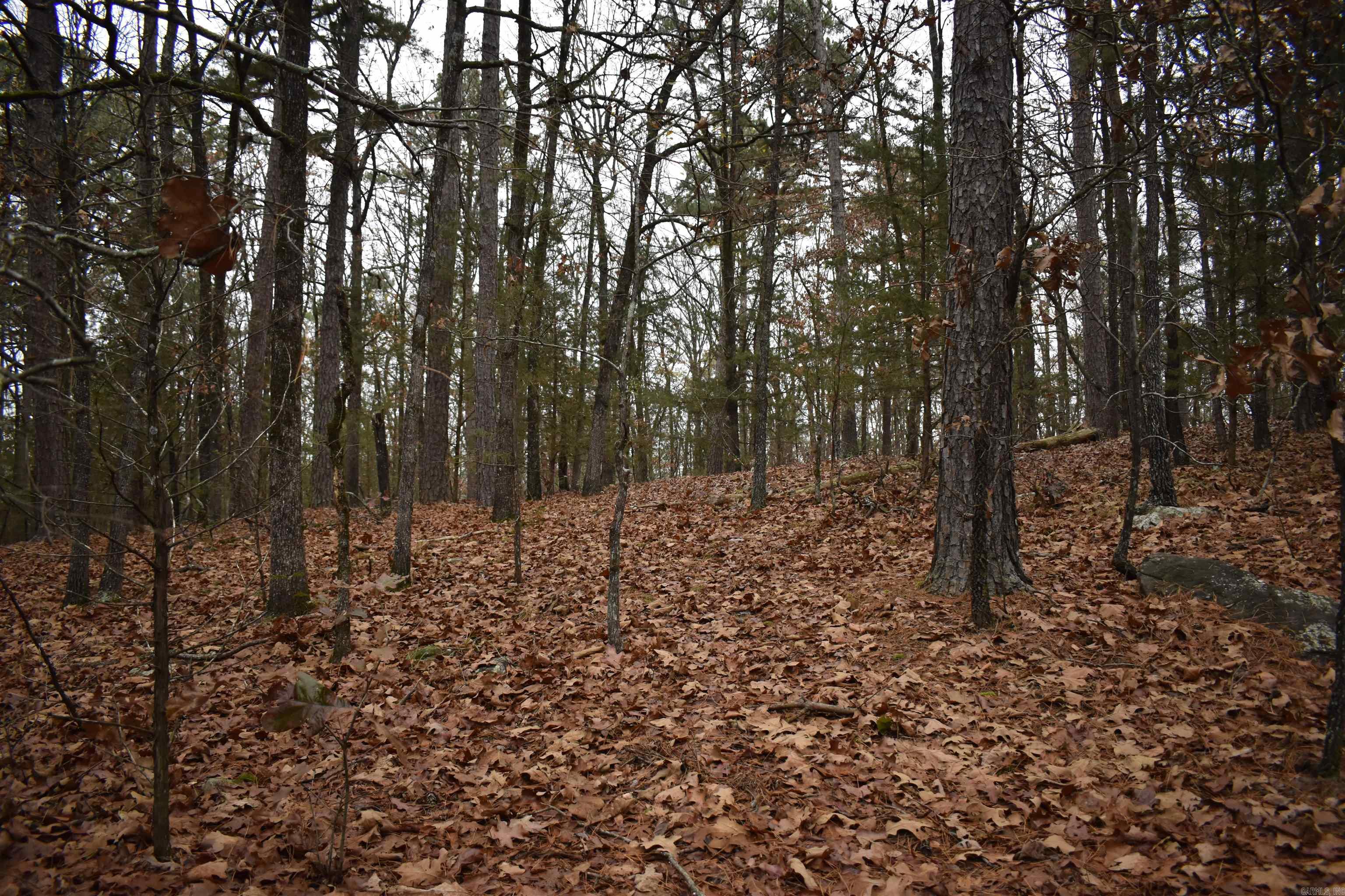 0000 Old Creek RD  Scranton, AR