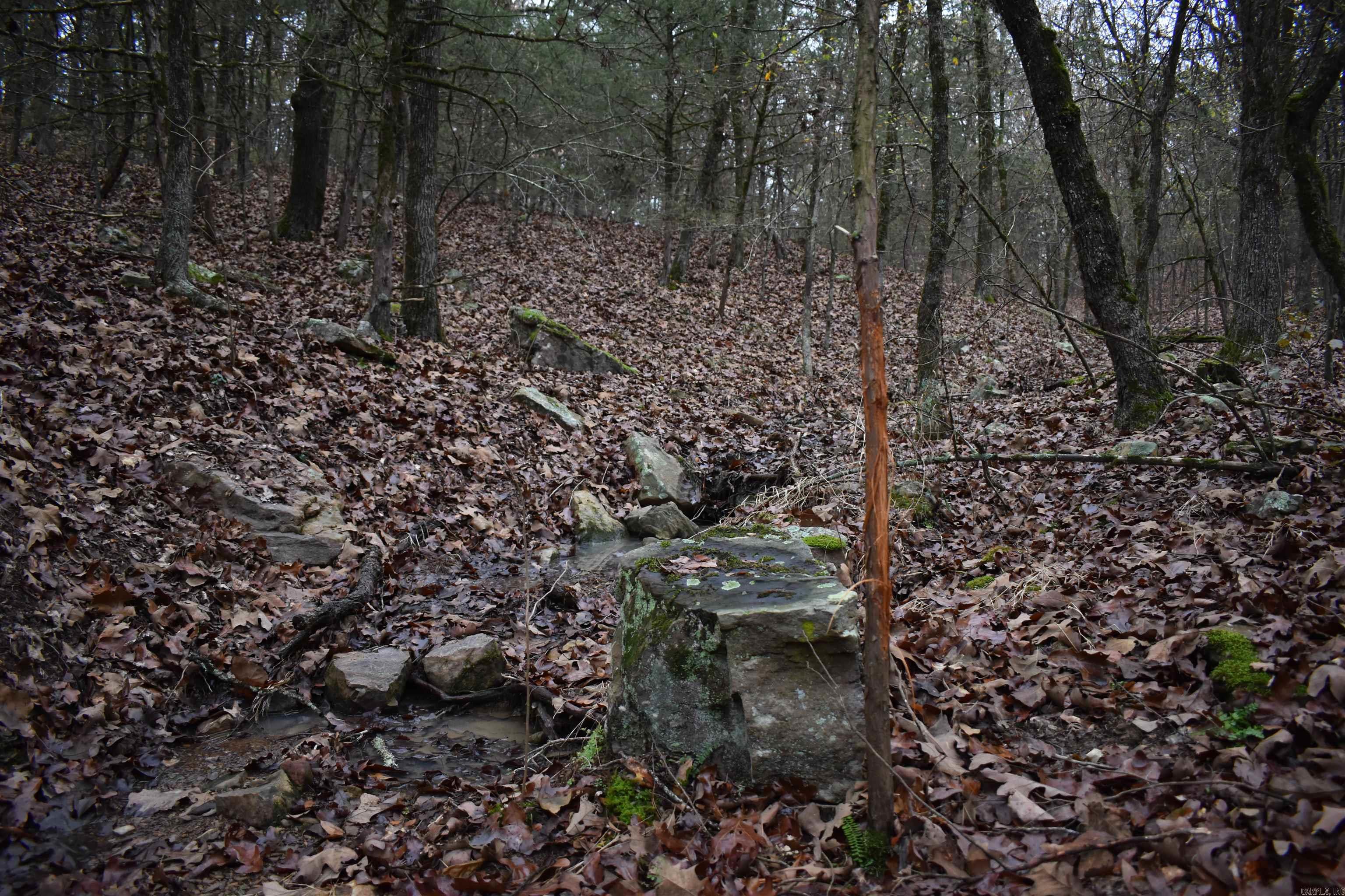 0000 Old Creek RD  Scranton, AR