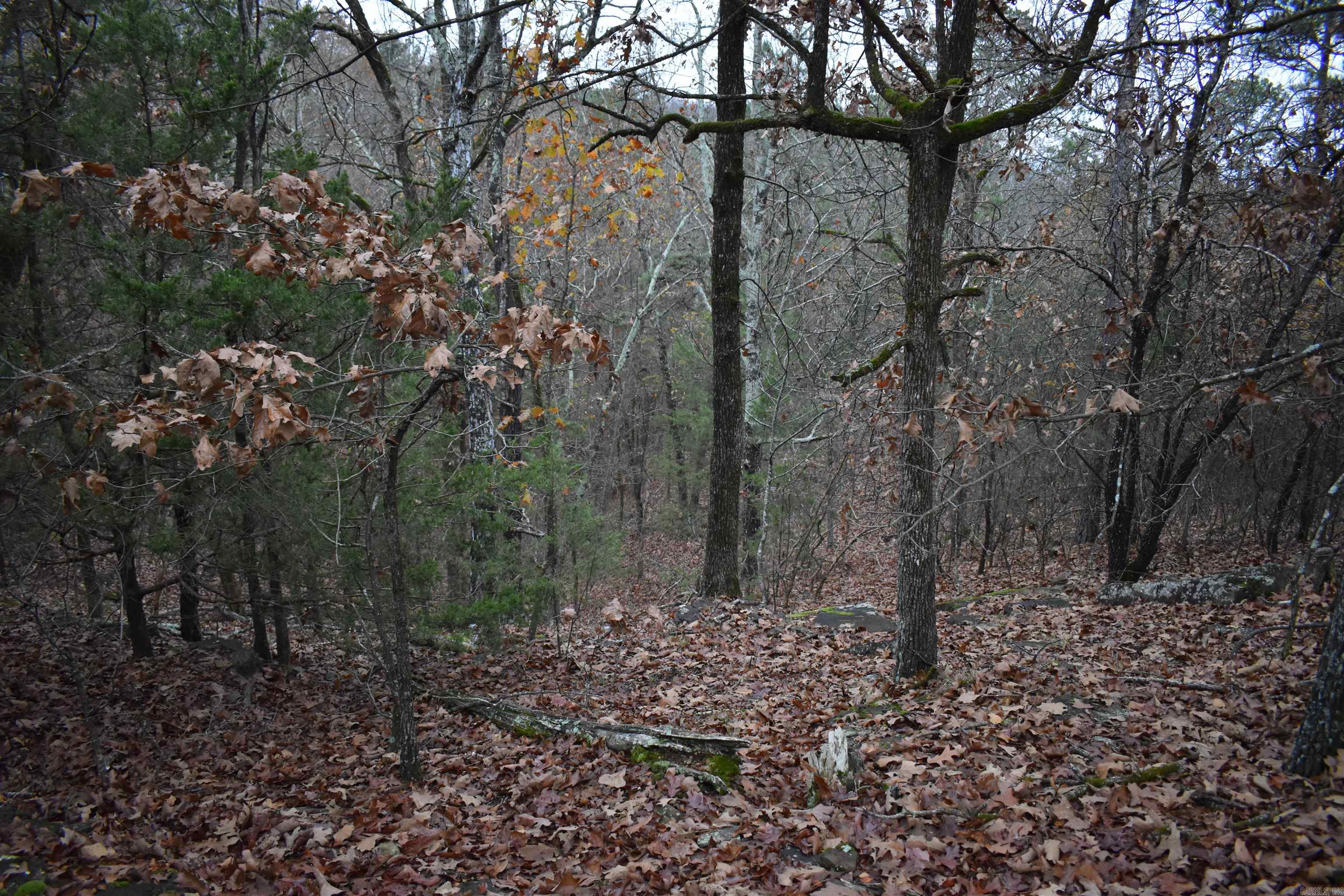 0000 Old Creek RD  Scranton, AR