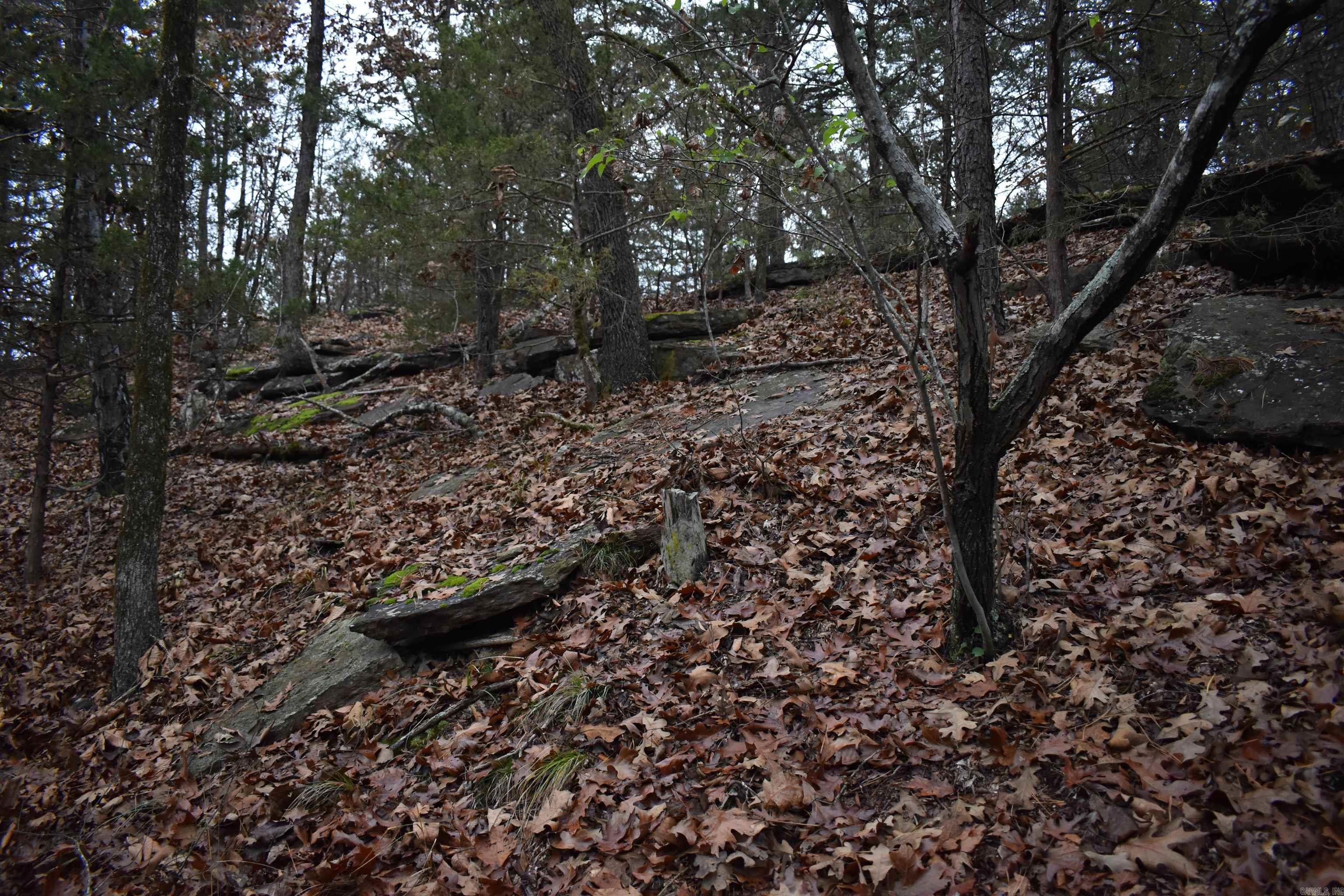 0000 Old Creek RD  Scranton, AR