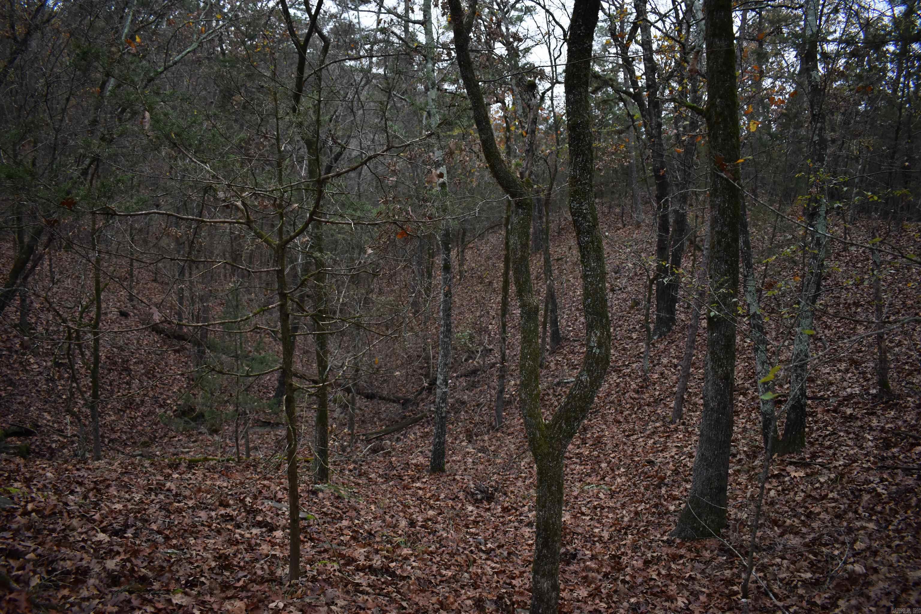 0000 Old Creek RD  Scranton, AR