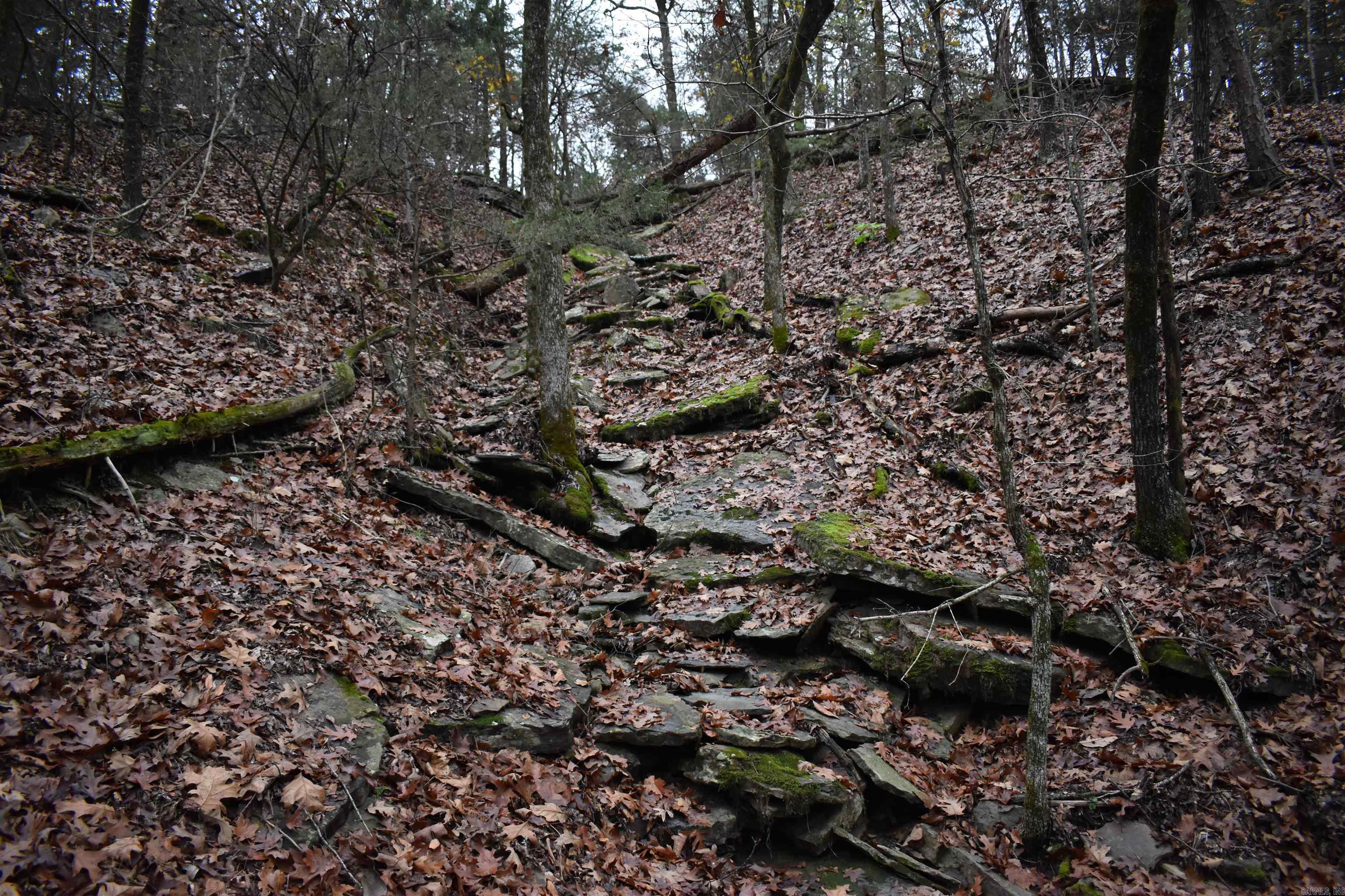 0000 Old Creek RD  Scranton, AR