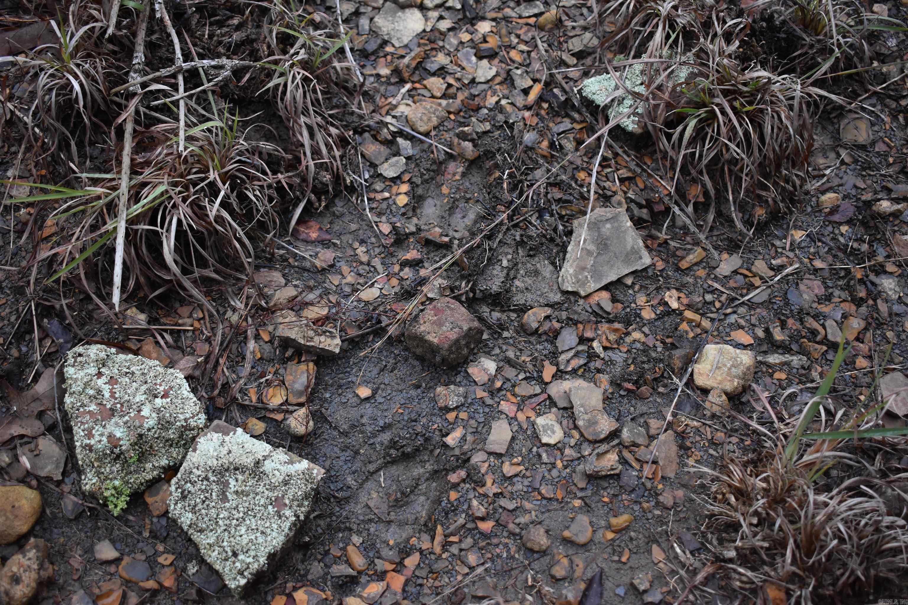 0000 Old Creek RD  Scranton, AR