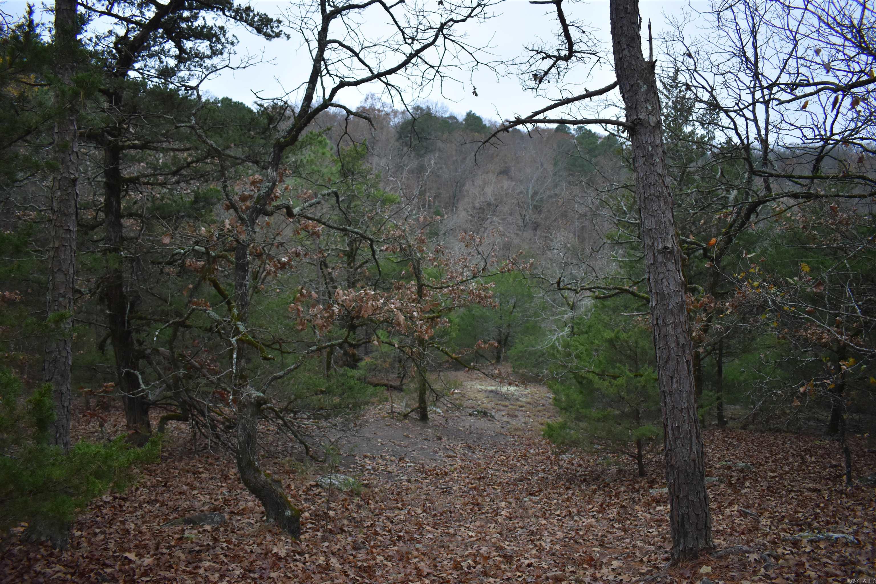 0000 Old Creek RD  Scranton, AR